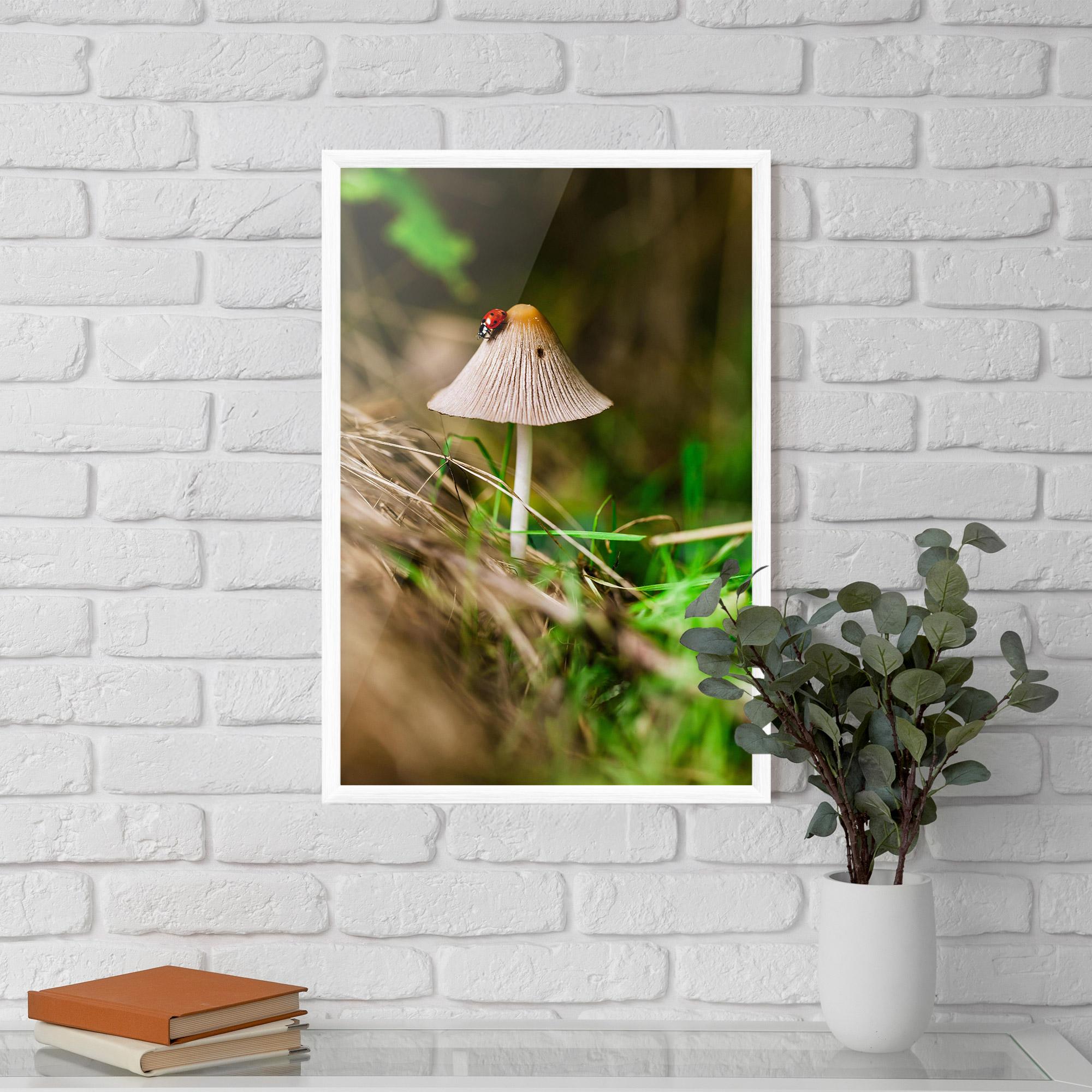 Poster Înrămat Mushroom Forest mockup 5