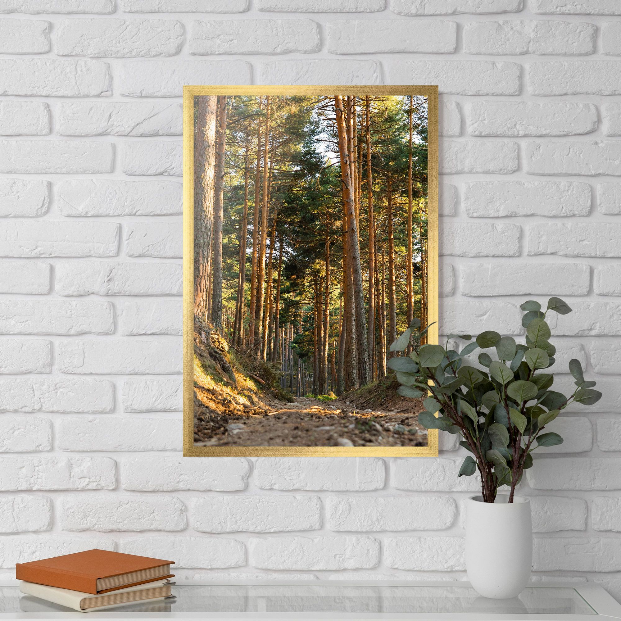 Big Trees Forest mockup 5