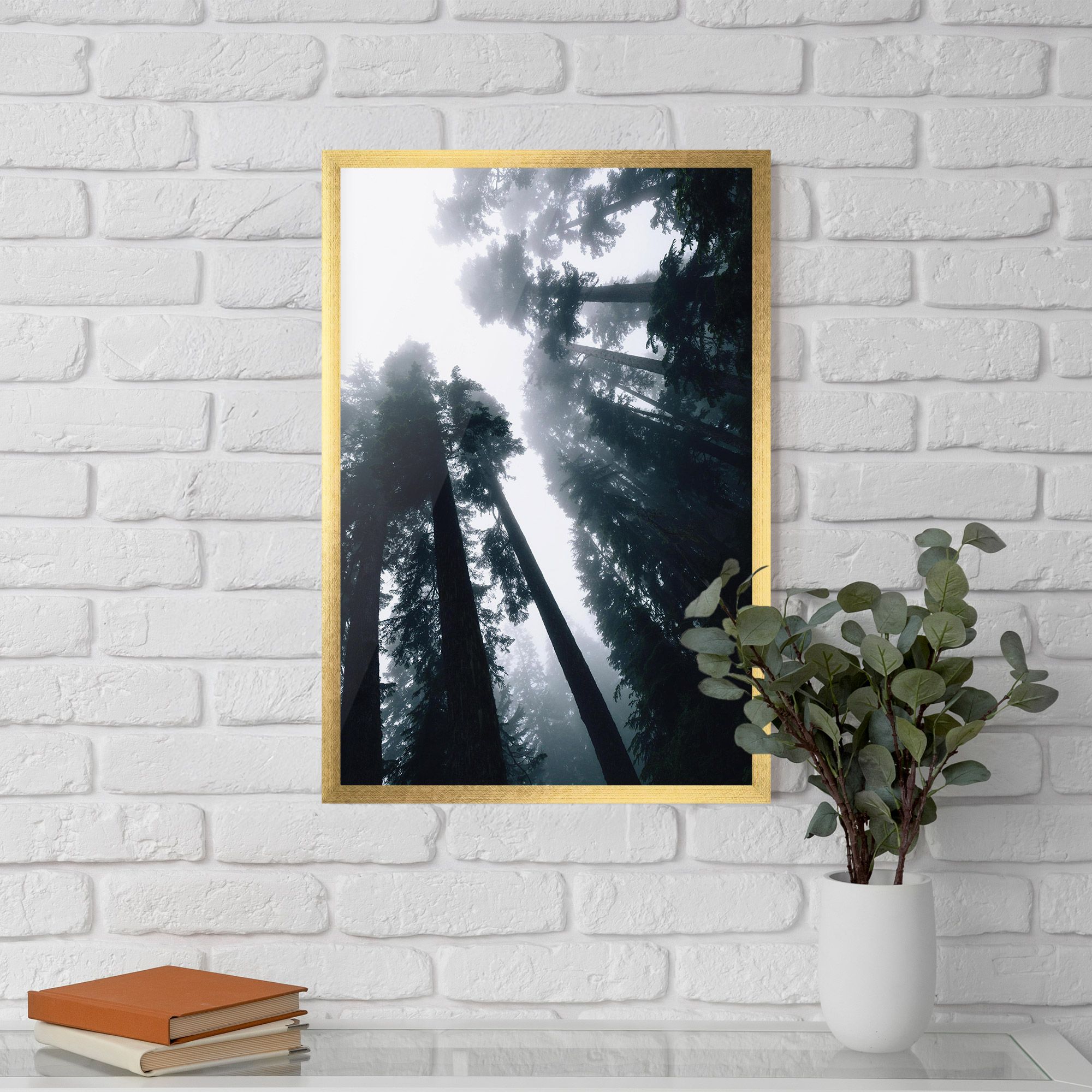 Foggy Big Trees mockup 5