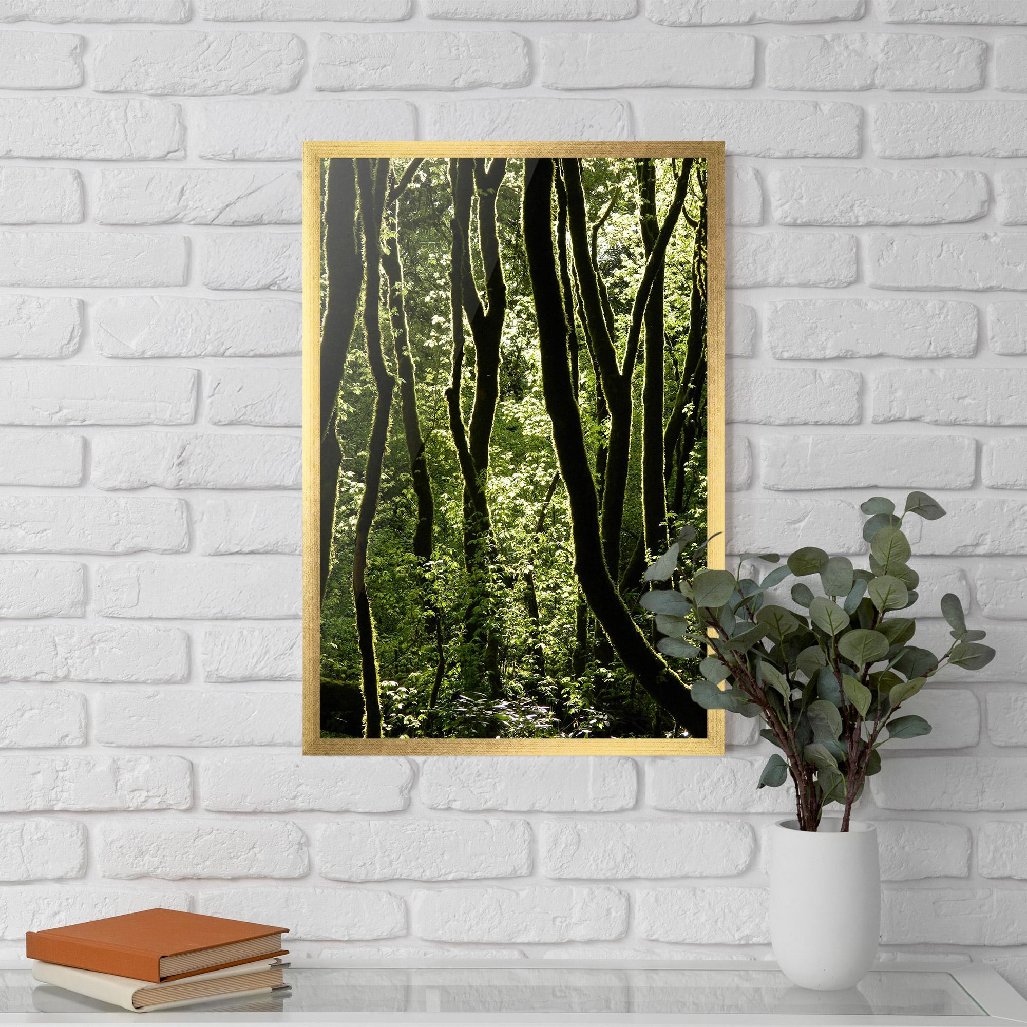 Poster Înrămat Forest Black Trees mockup 5