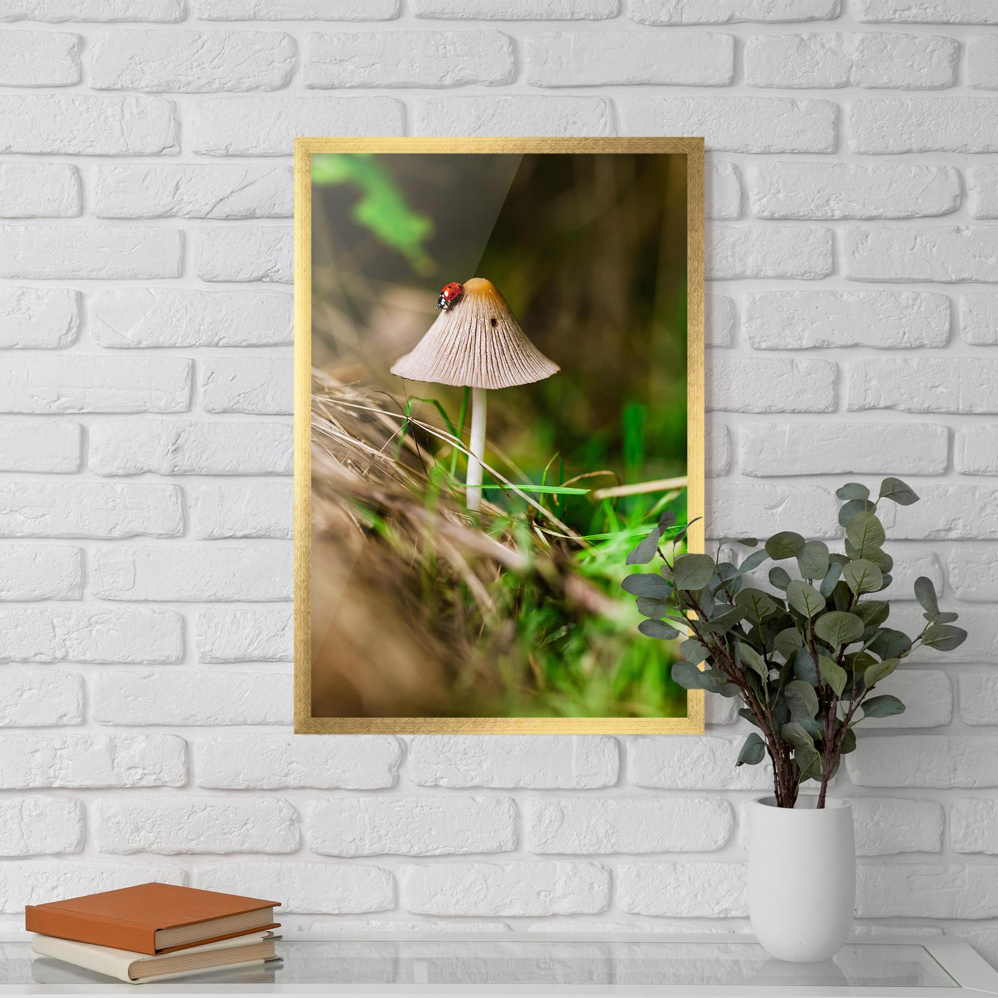 Poster Înrămat Mushroom Forest mockup 5