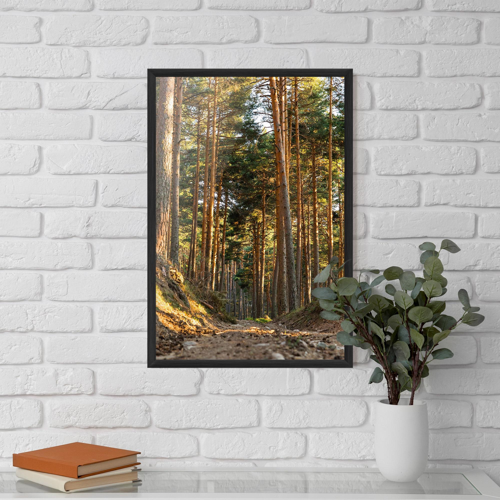 Poster Înrămat Big Trees Forest mockup 5
