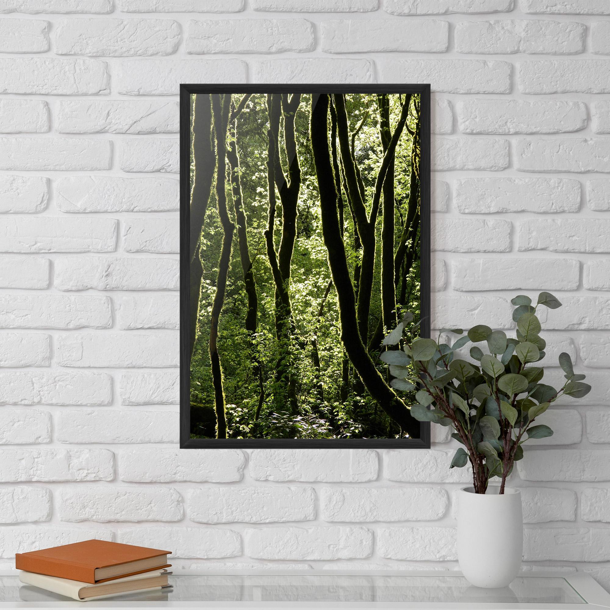 Poster Înrămat Forest Black Trees mockup 5