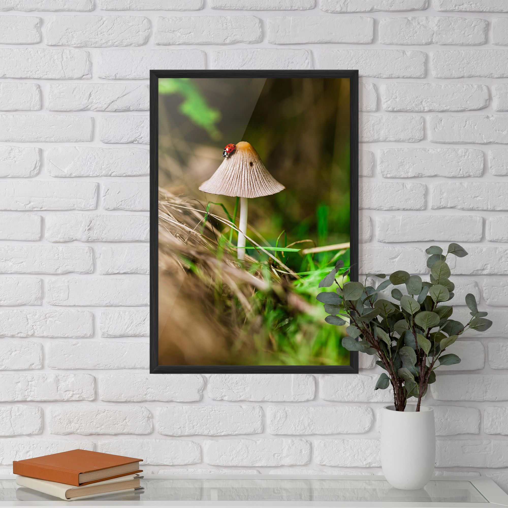 Mushroom Forest mockup 5