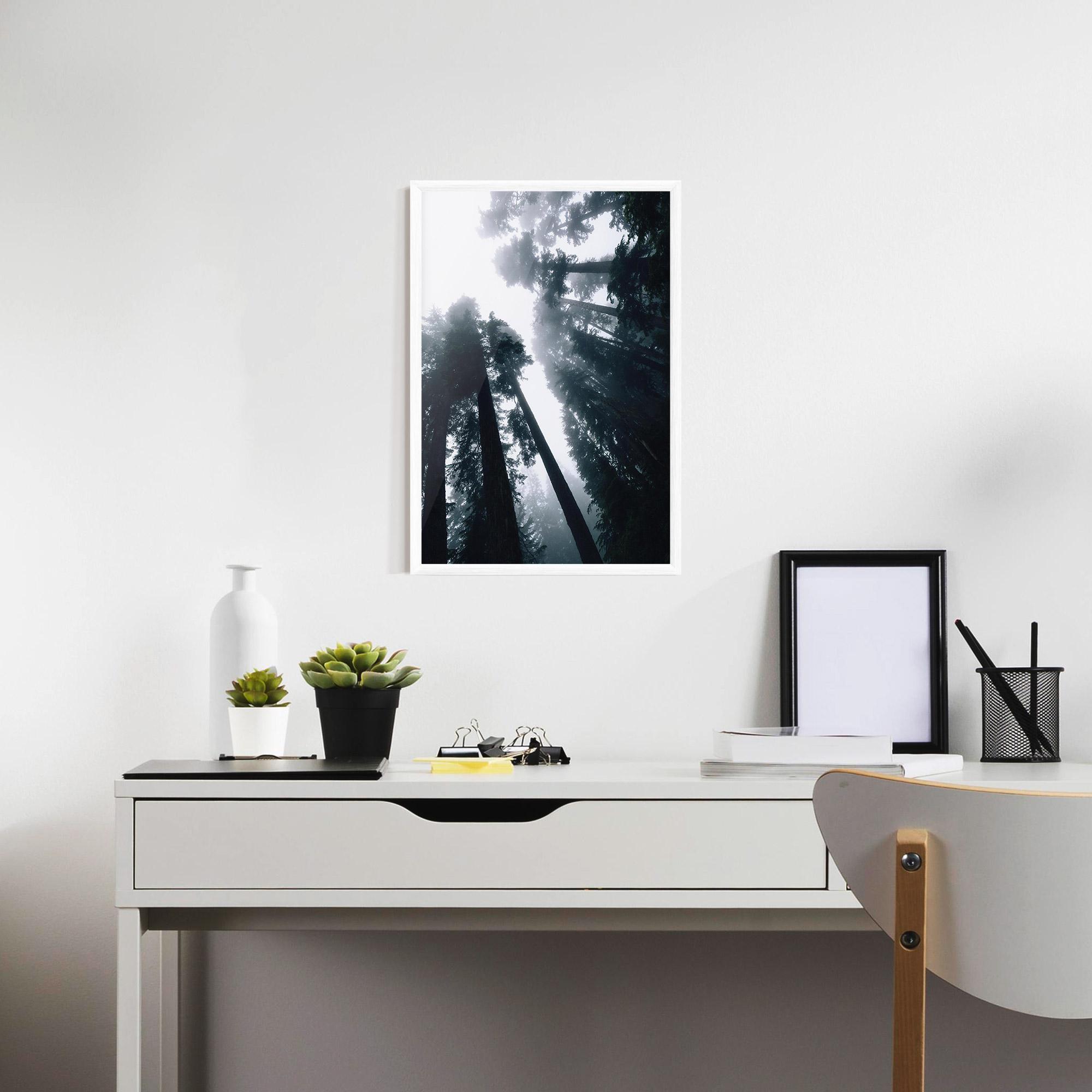 Poster Înrămat Foggy Big Trees mockup 7