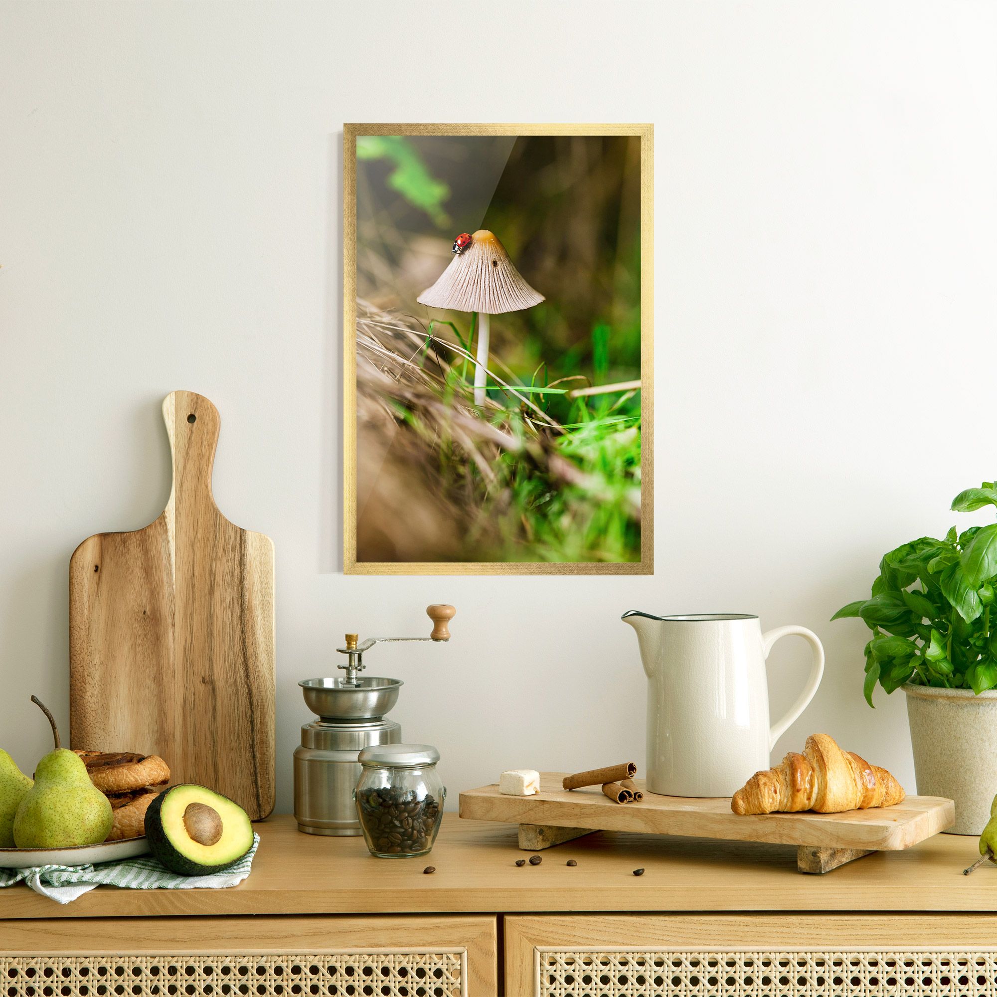 Mushroom Forest mockup 8