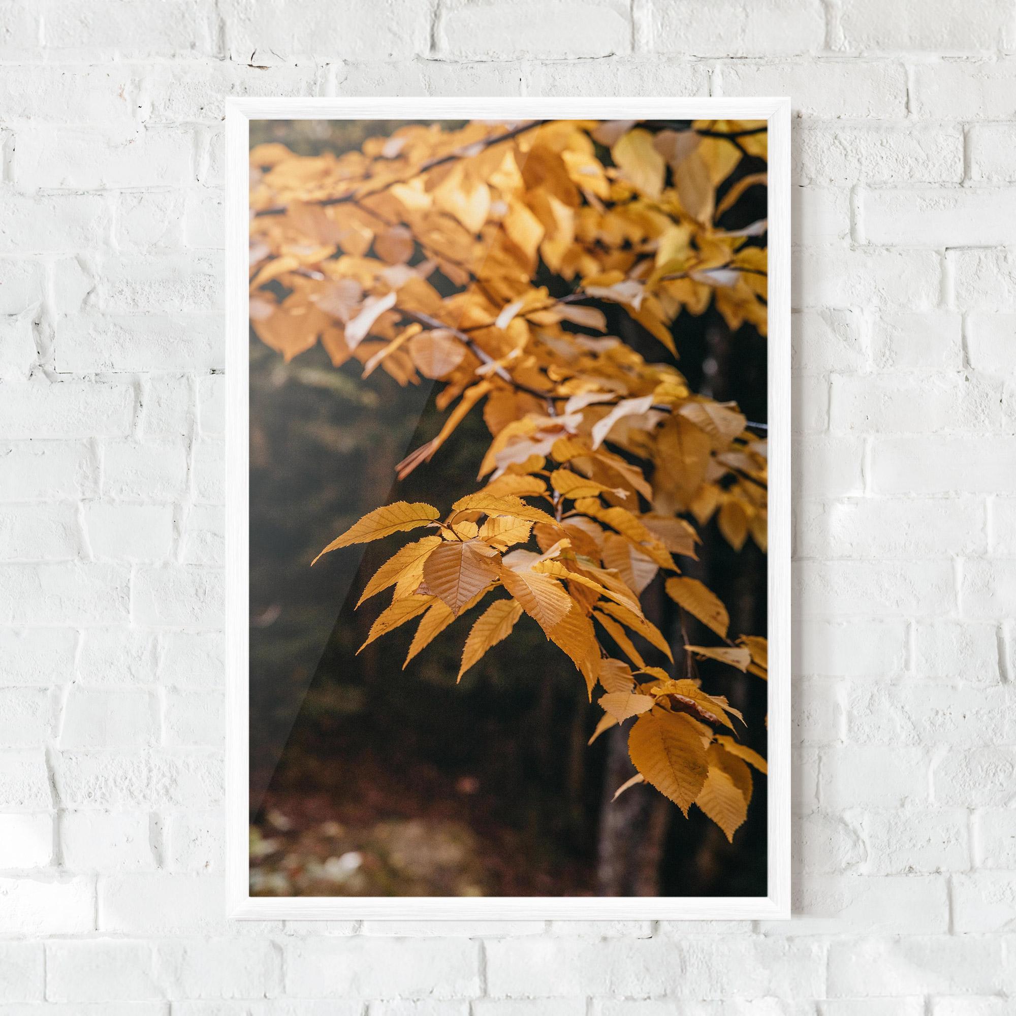 Poster Înrămat Autumn Nature mockup 0