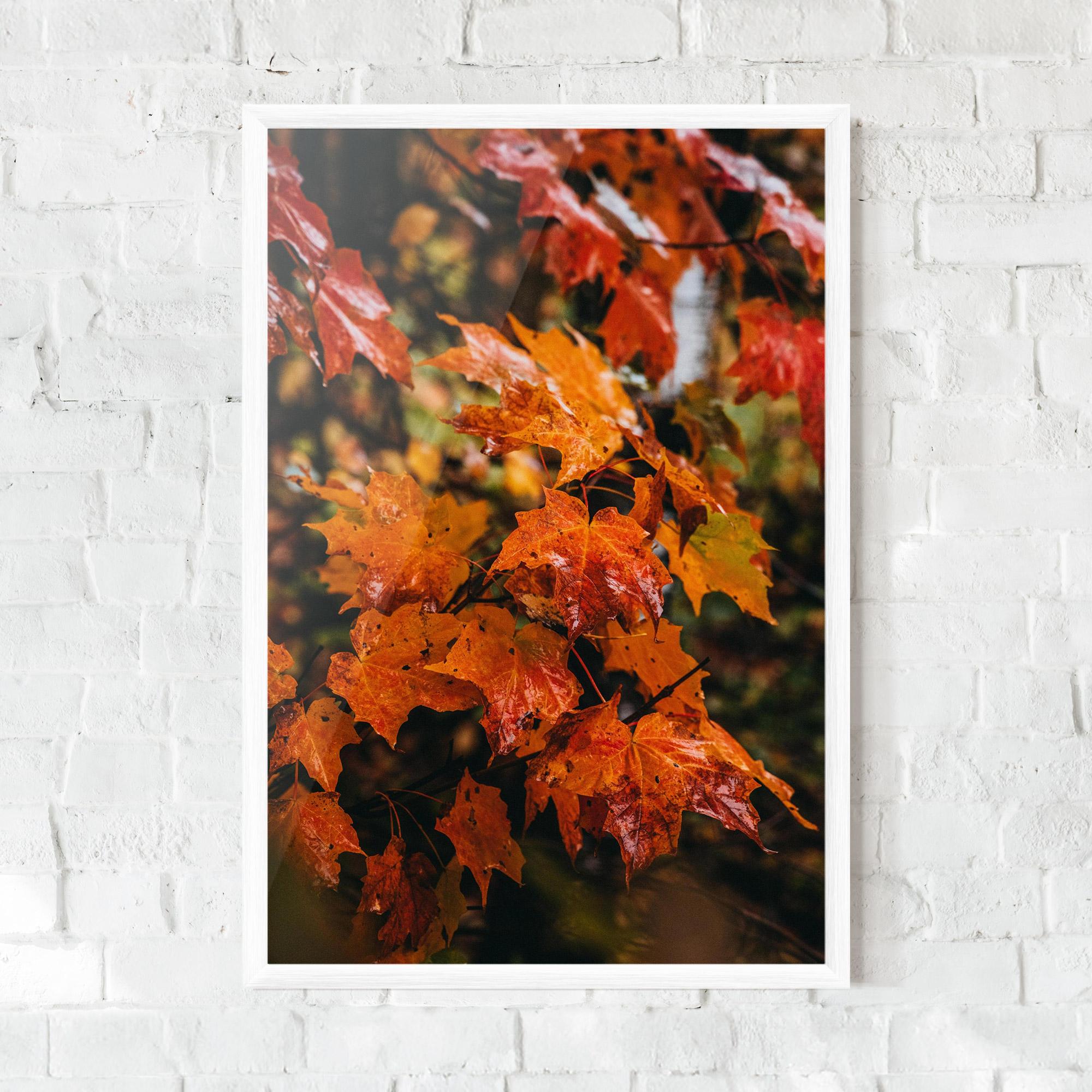 Poster Înrămat Orange Autumn Leaves mockup 0