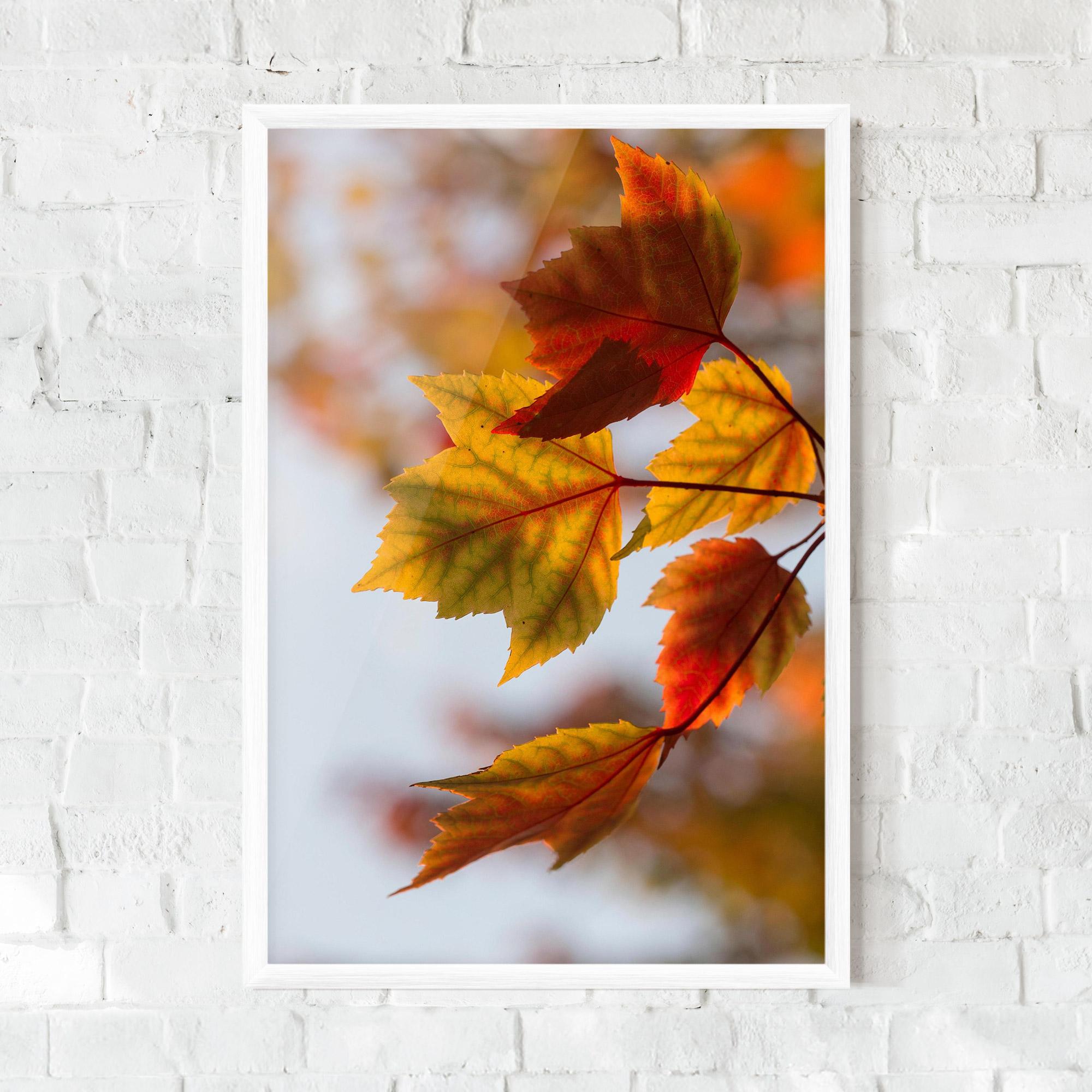 Poster Înrămat Red Yellow Autumn mockup 0
