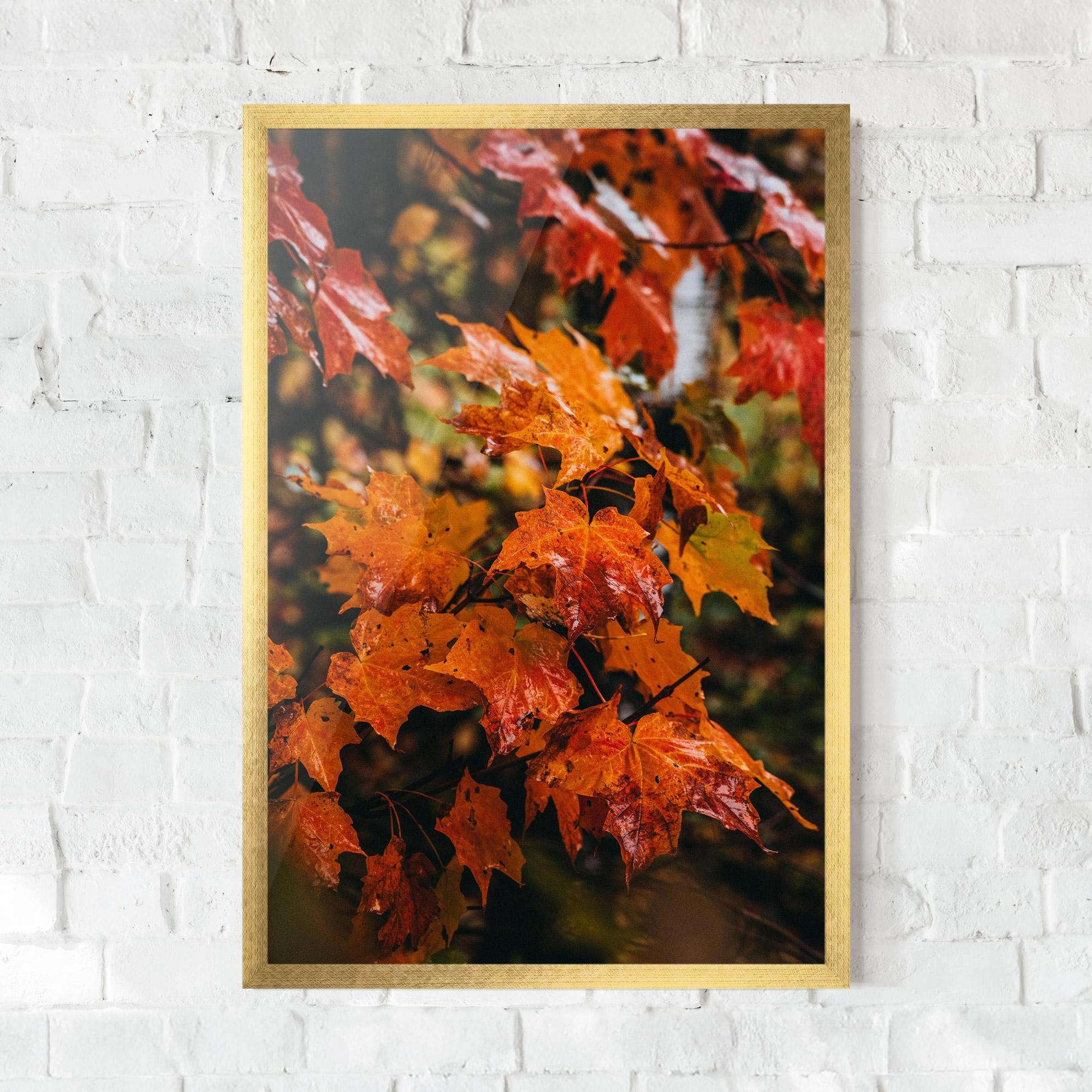 Poster Înrămat Orange Autumn Leaves mockup 0