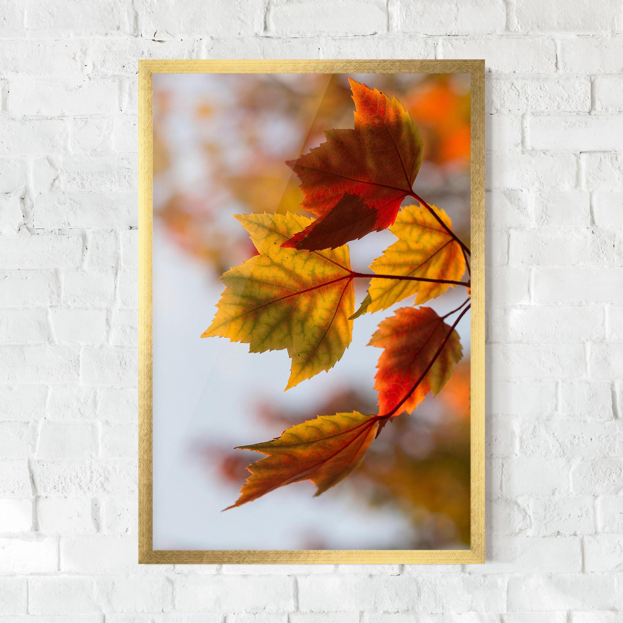 Poster Înrămat Red Yellow Autumn mockup 0