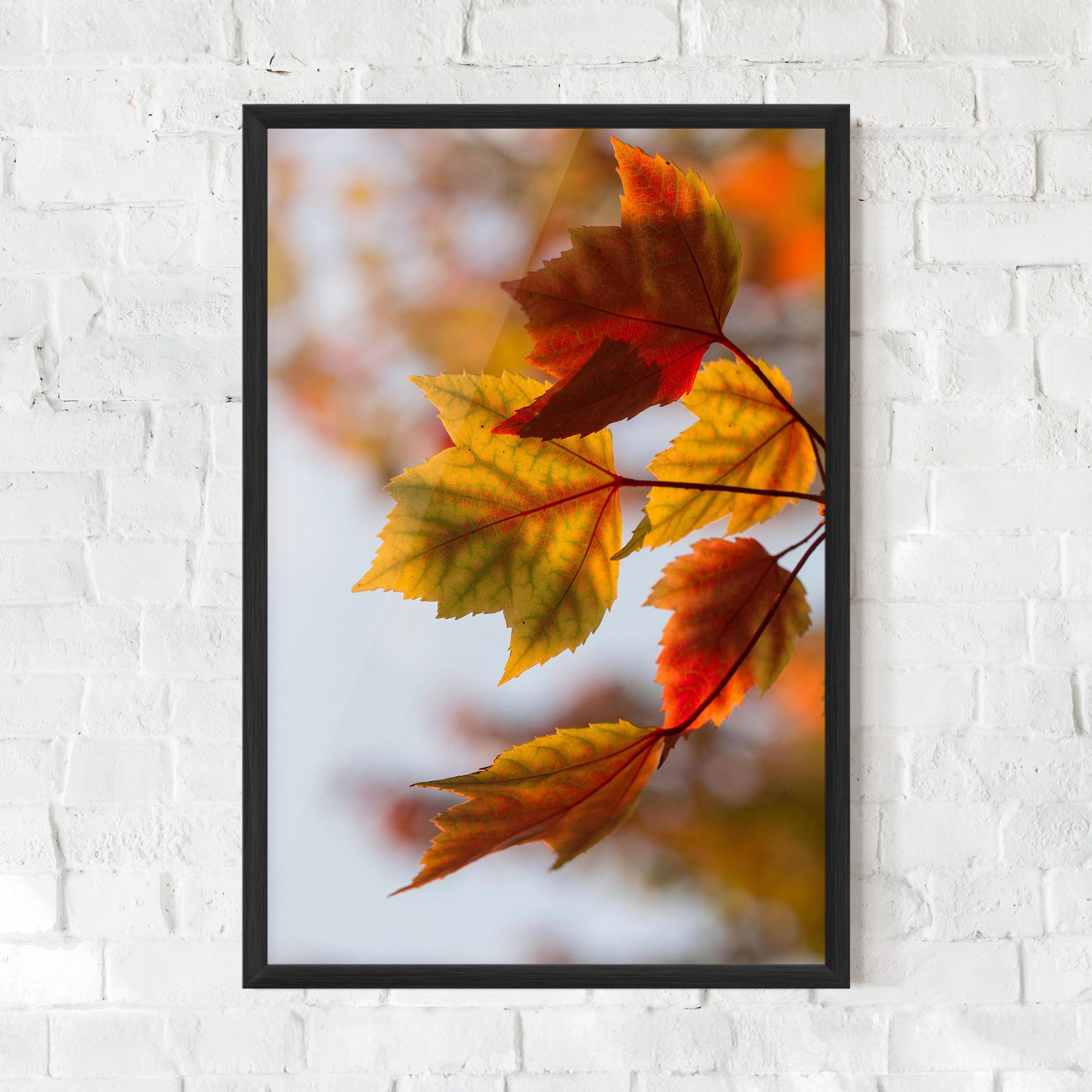 Red Yellow Autumn mockup 0