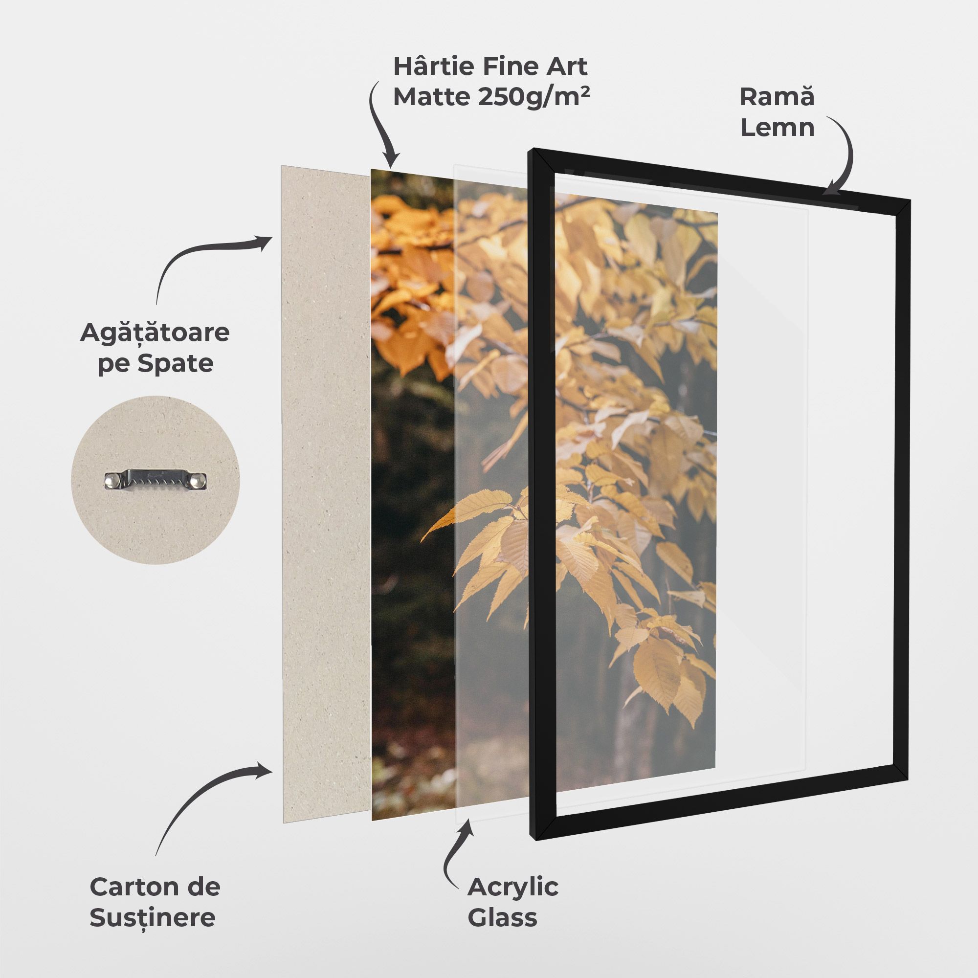 Autumn Nature mockup 1