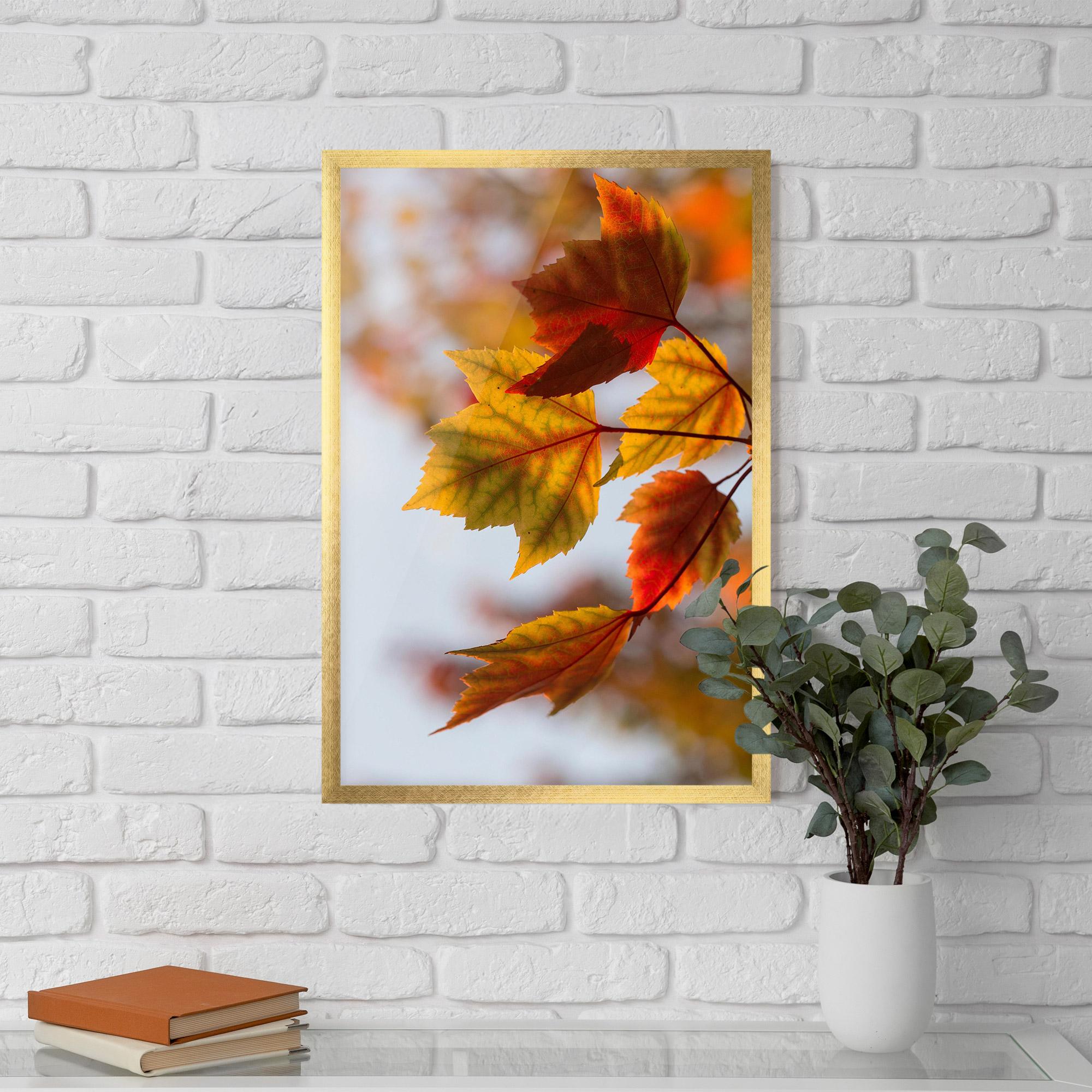 Poster Înrămat Red Yellow Autumn mockup 5