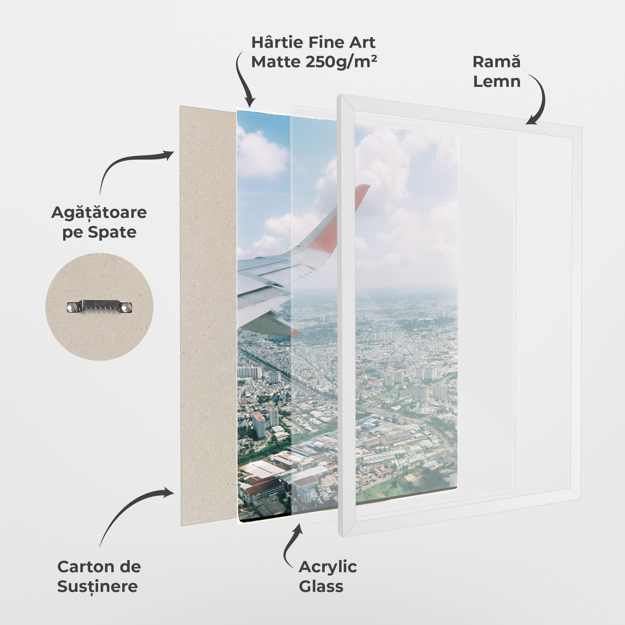 Poster Înrămat Airplane View mockup 1