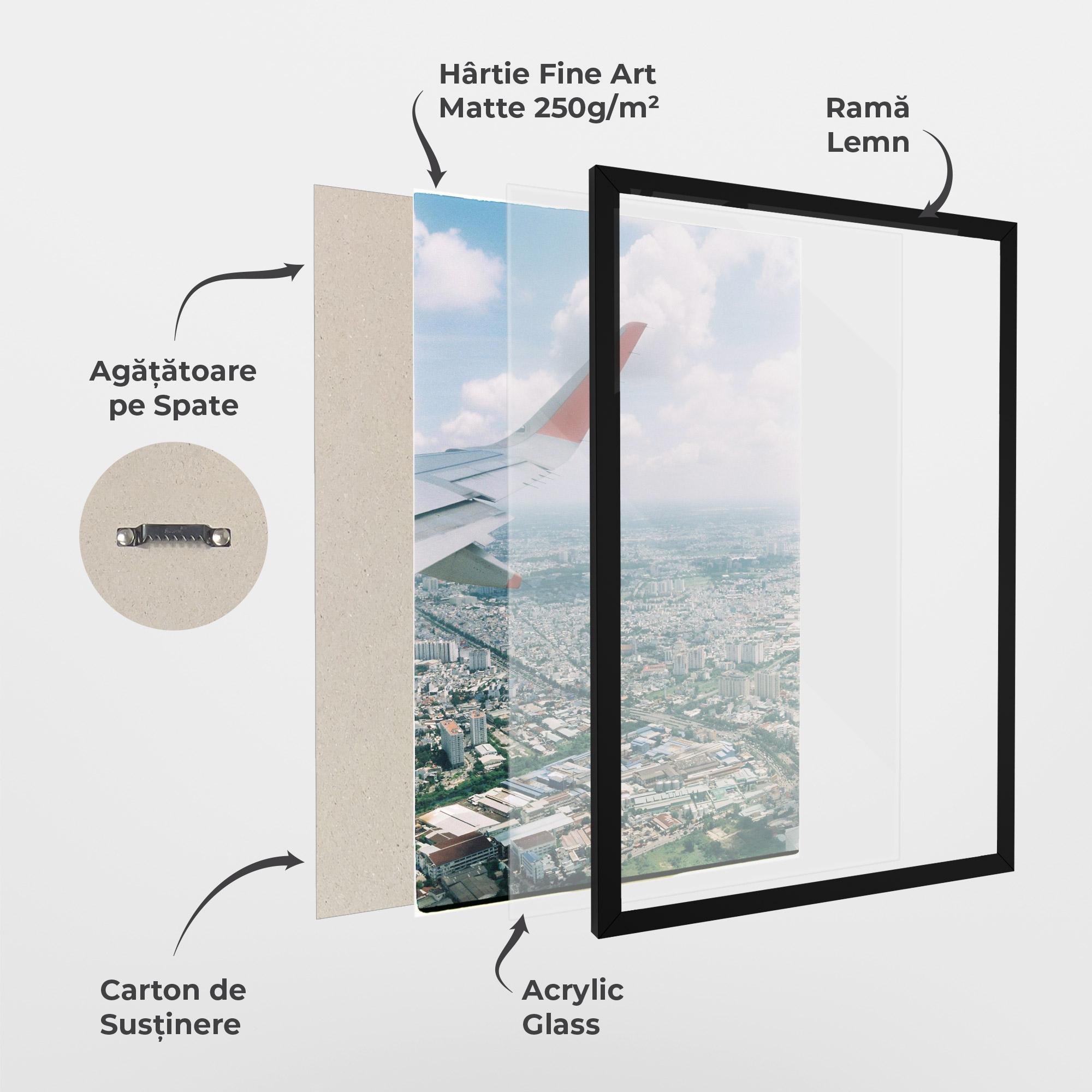 Poster Înrămat Airplane View mockup 1