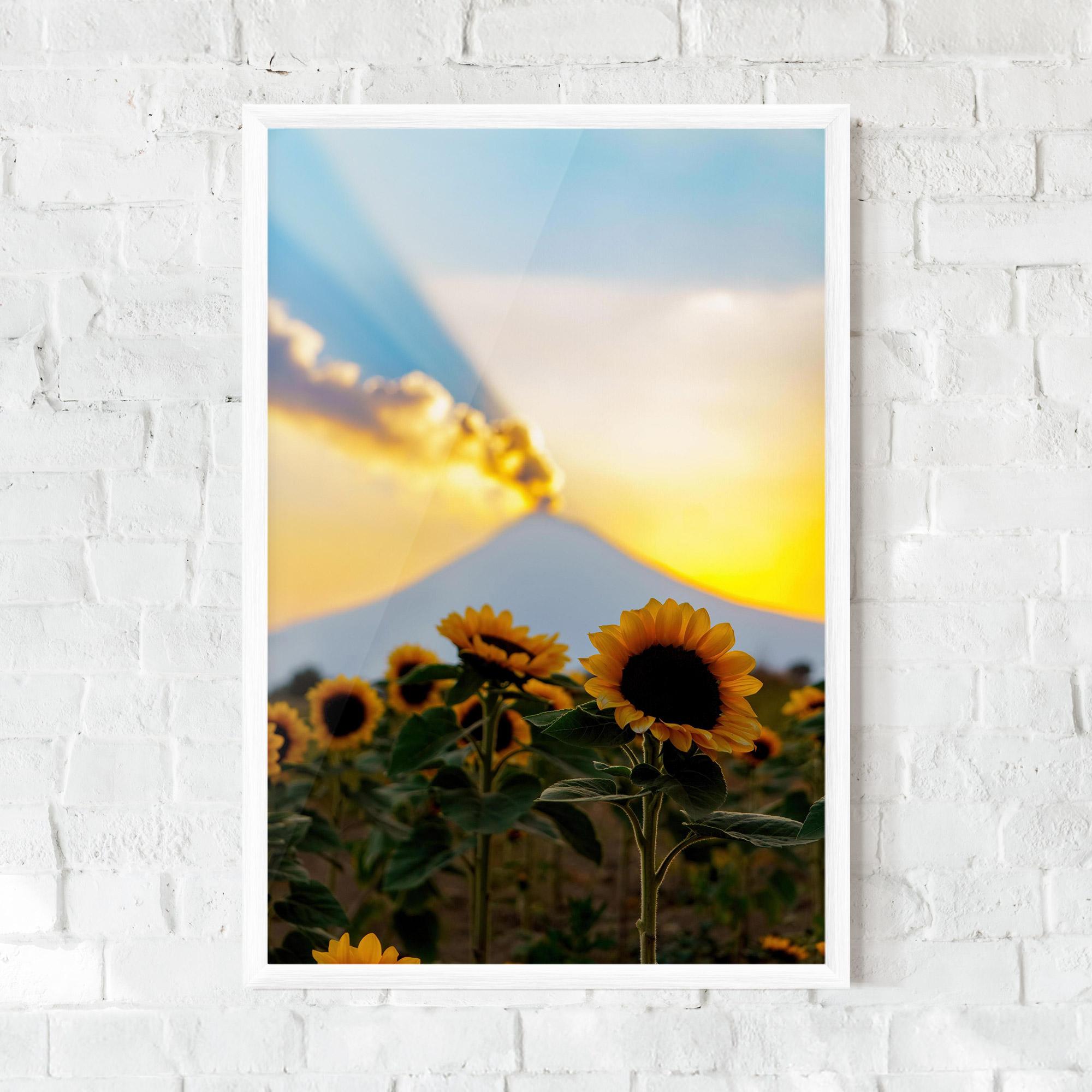 Poster Înrămat Sunflower Sunset mockup 0
