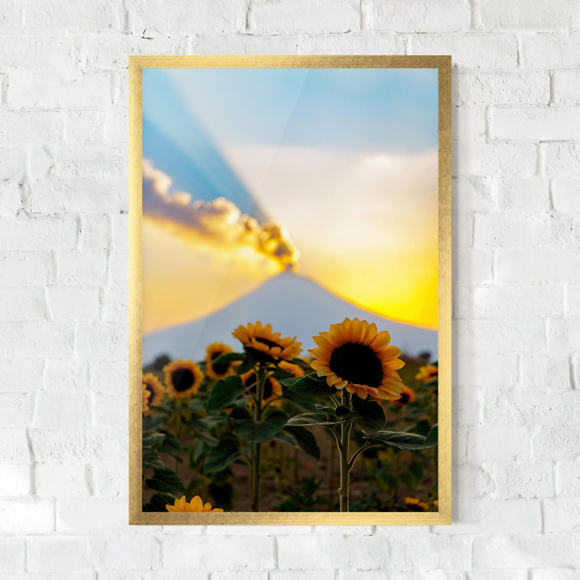 Poster Înrămat Sunflower Sunset mockup 0