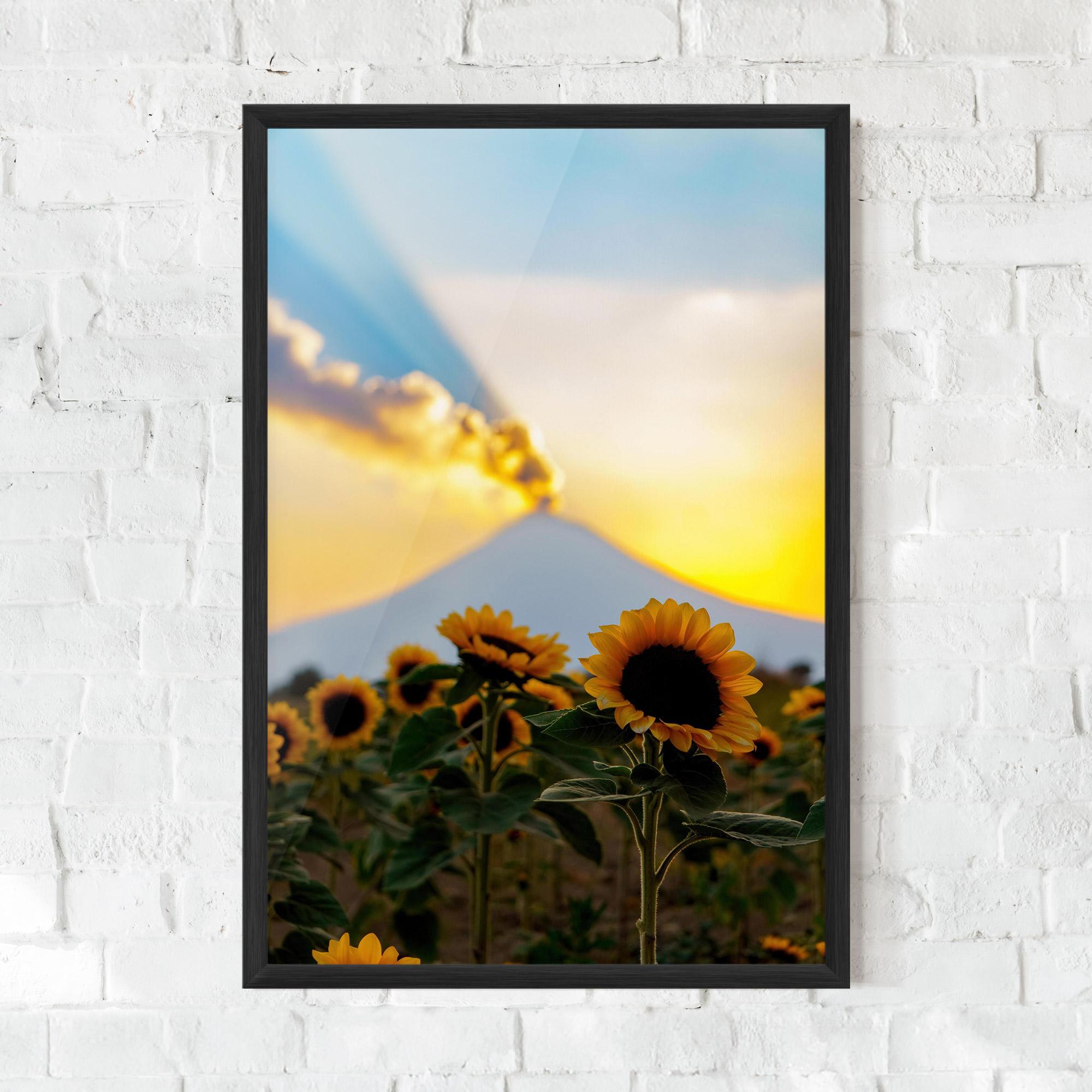 Poster Înrămat Sunflower Sunset mockup 0