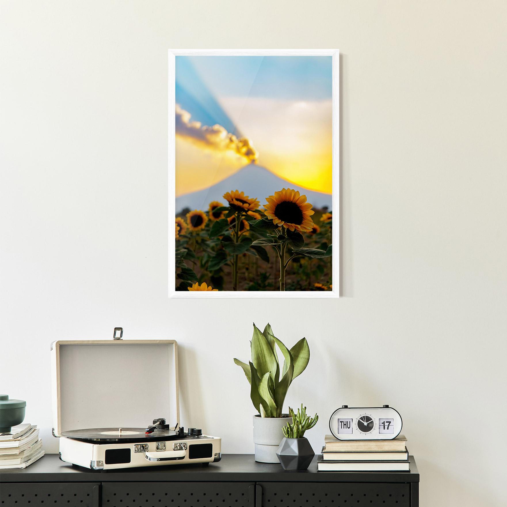 Poster Înrămat Sunflower Sunset mockup 2