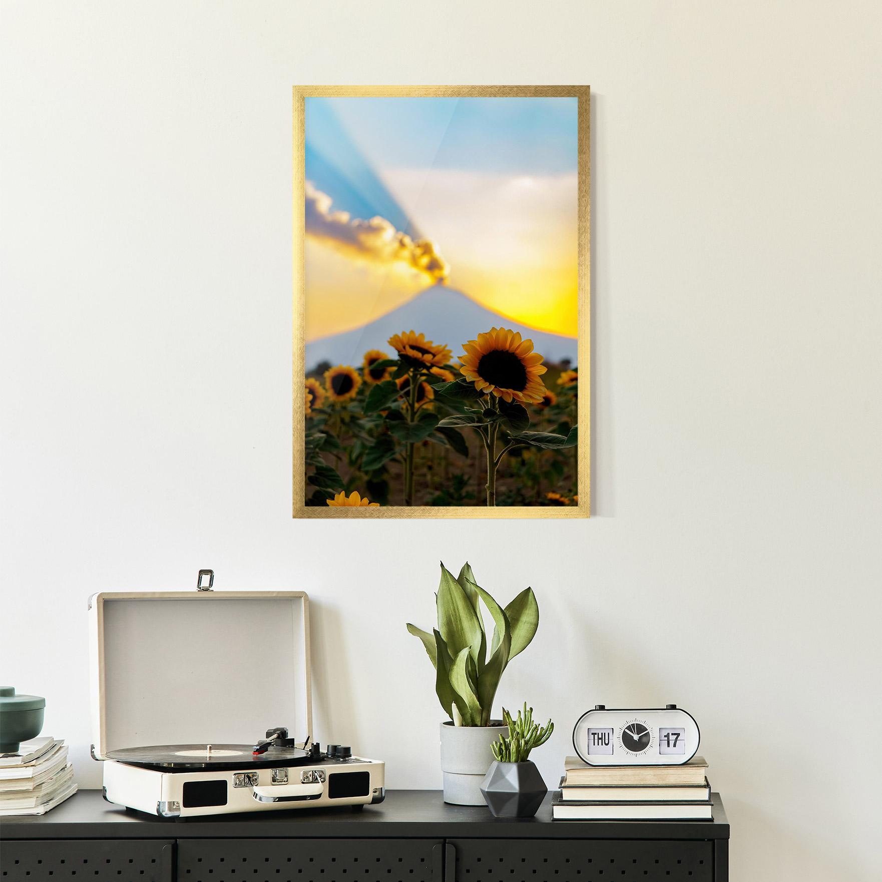 Poster Înrămat Sunflower Sunset mockup 2