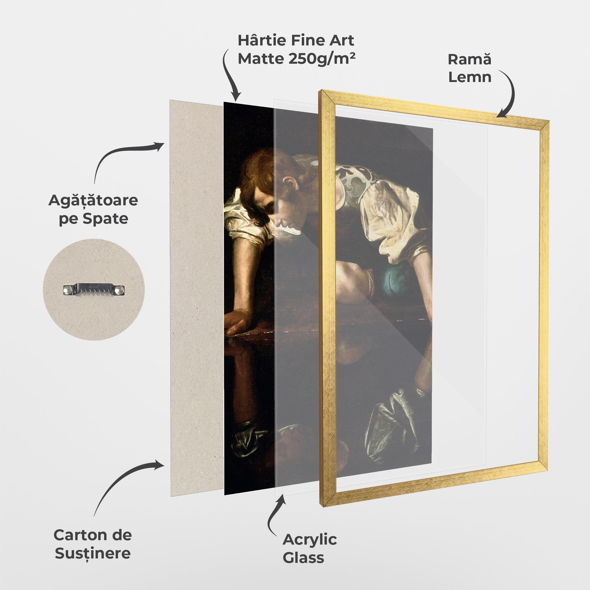 Poster Înrămat Narcissus mockup 1