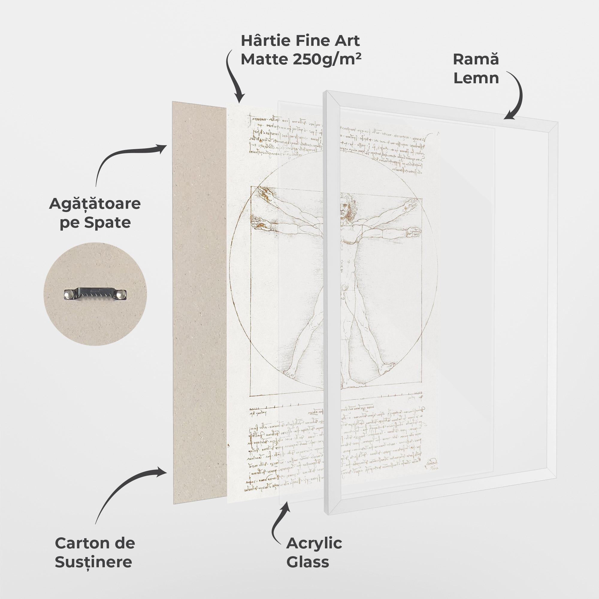 Poster Înrămat Leonardo Da Vinci's Vitruvian Man mockup 1