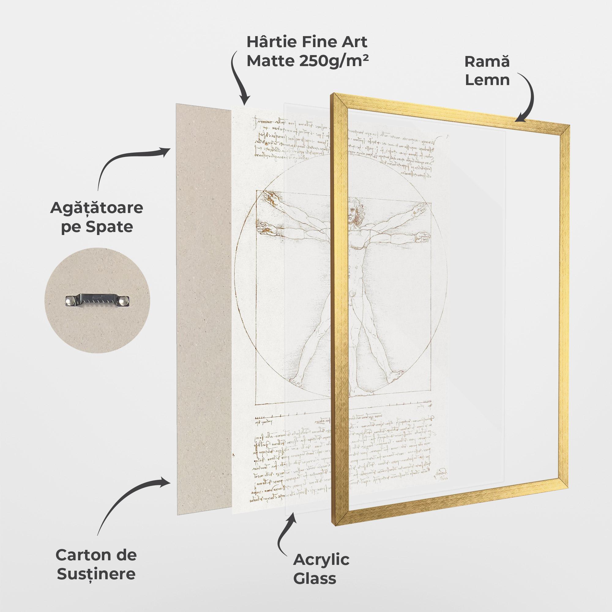 Poster Înrămat Leonardo Da Vinci's Vitruvian Man mockup 1