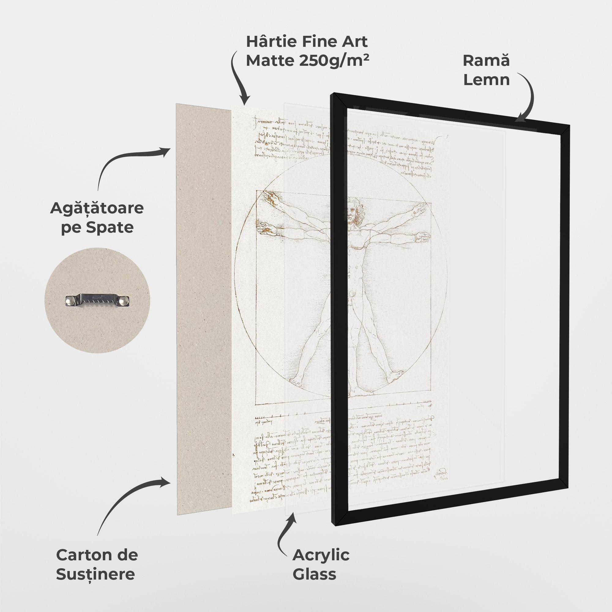 Poster Înrămat Leonardo Da Vinci's Vitruvian Man mockup 1