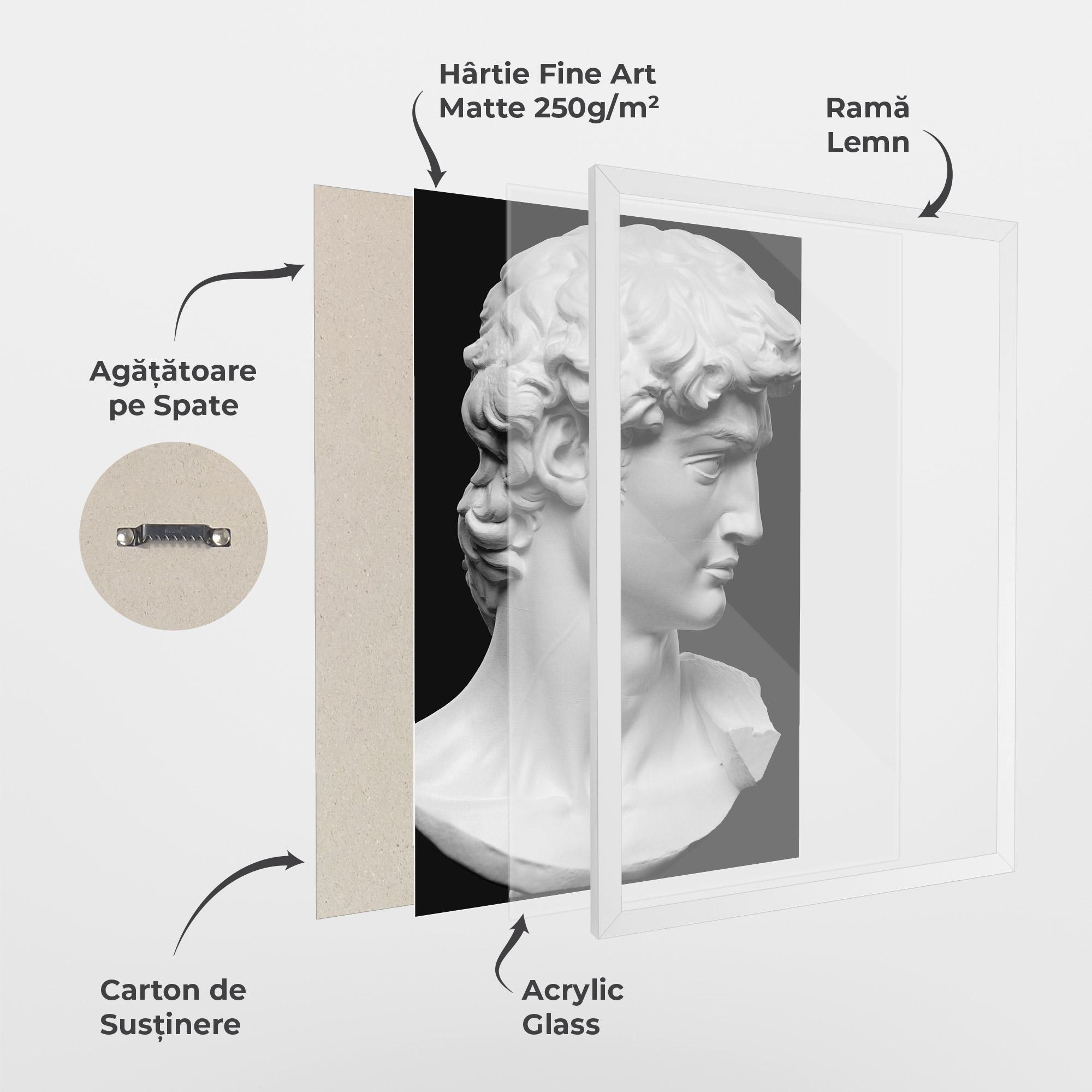 Poster Înrămat David Head mockup 1