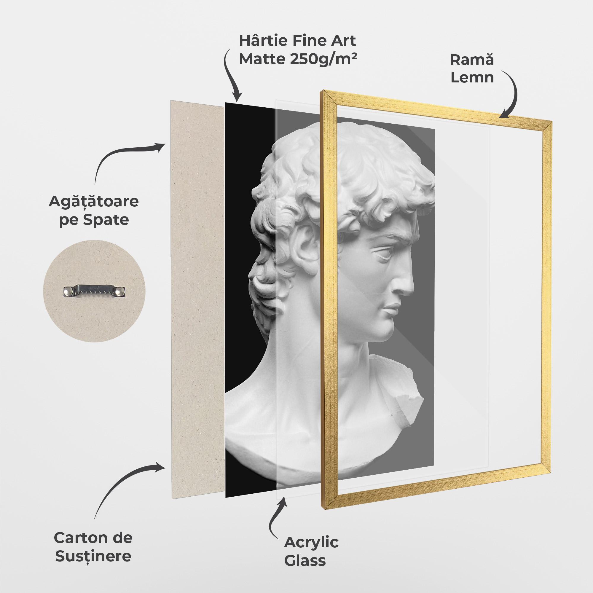 Poster Înrămat David Head mockup 1