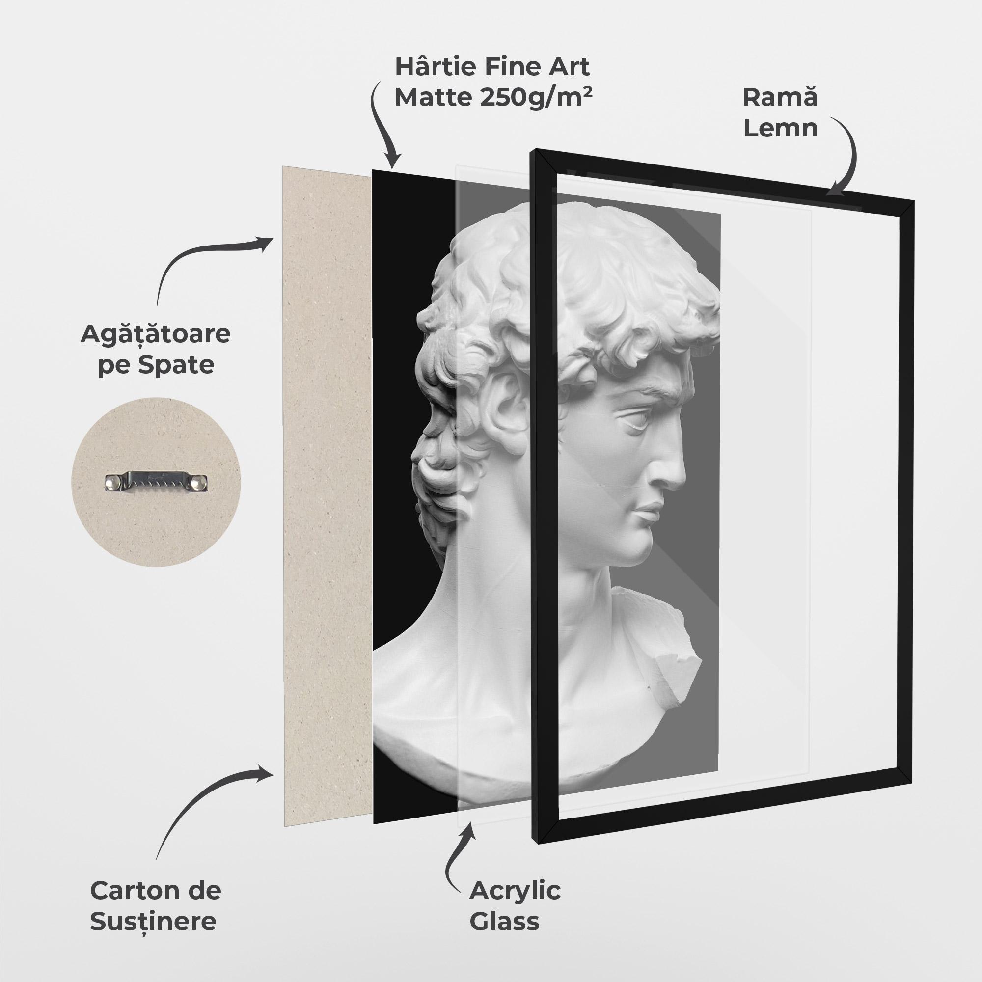 Poster Înrămat David Head mockup 1