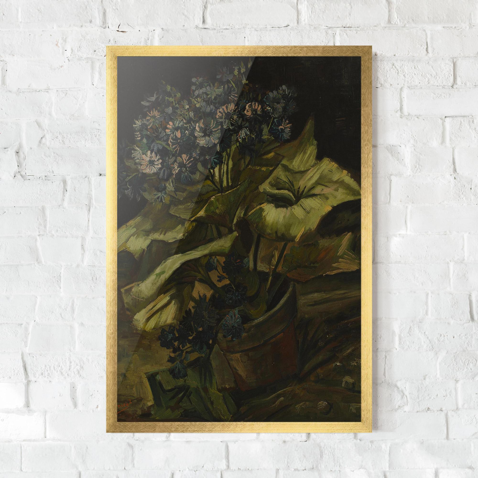 Poster Înrămat Cineraria mockup 0