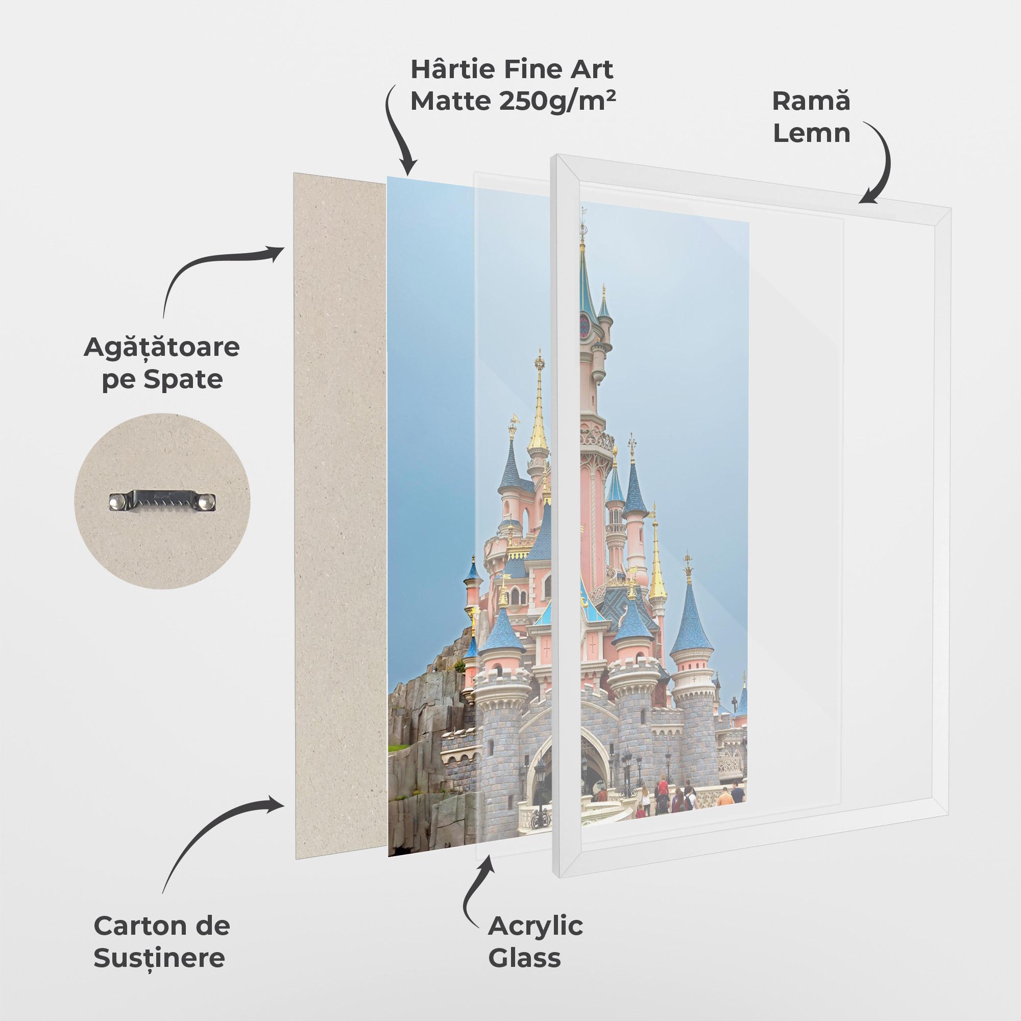 Poster Înrămat Disneyland Castle mockup 1