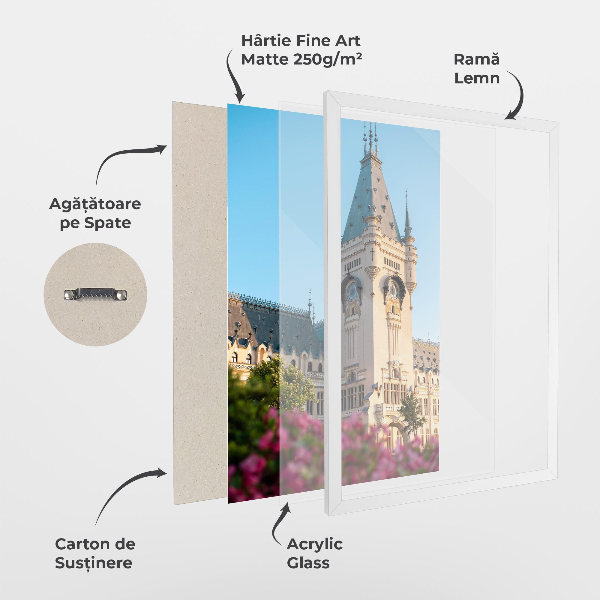 Poster Înrămat Palace Culture Iasi mockup 1