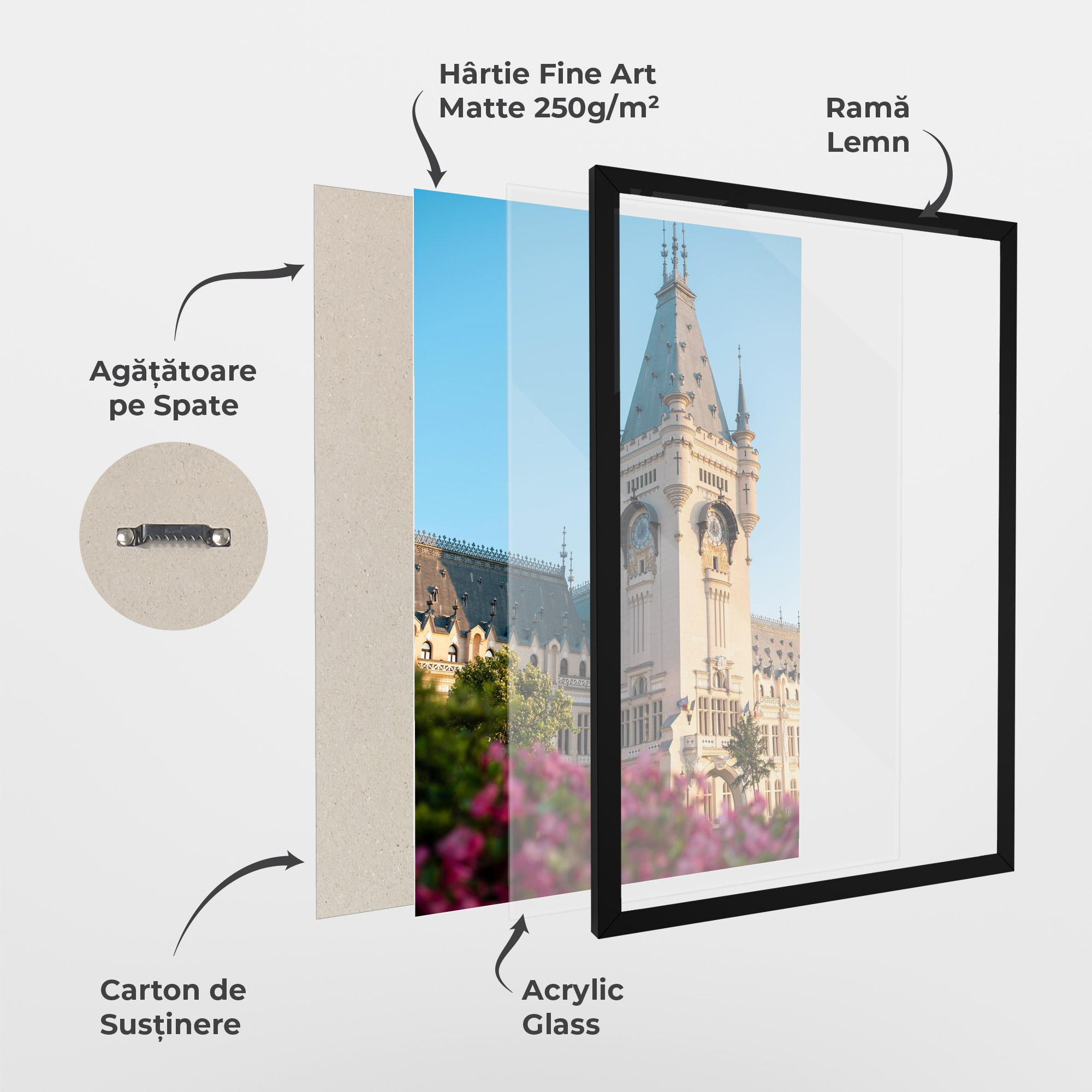 Poster Înrămat Palace Culture Iasi mockup 1
