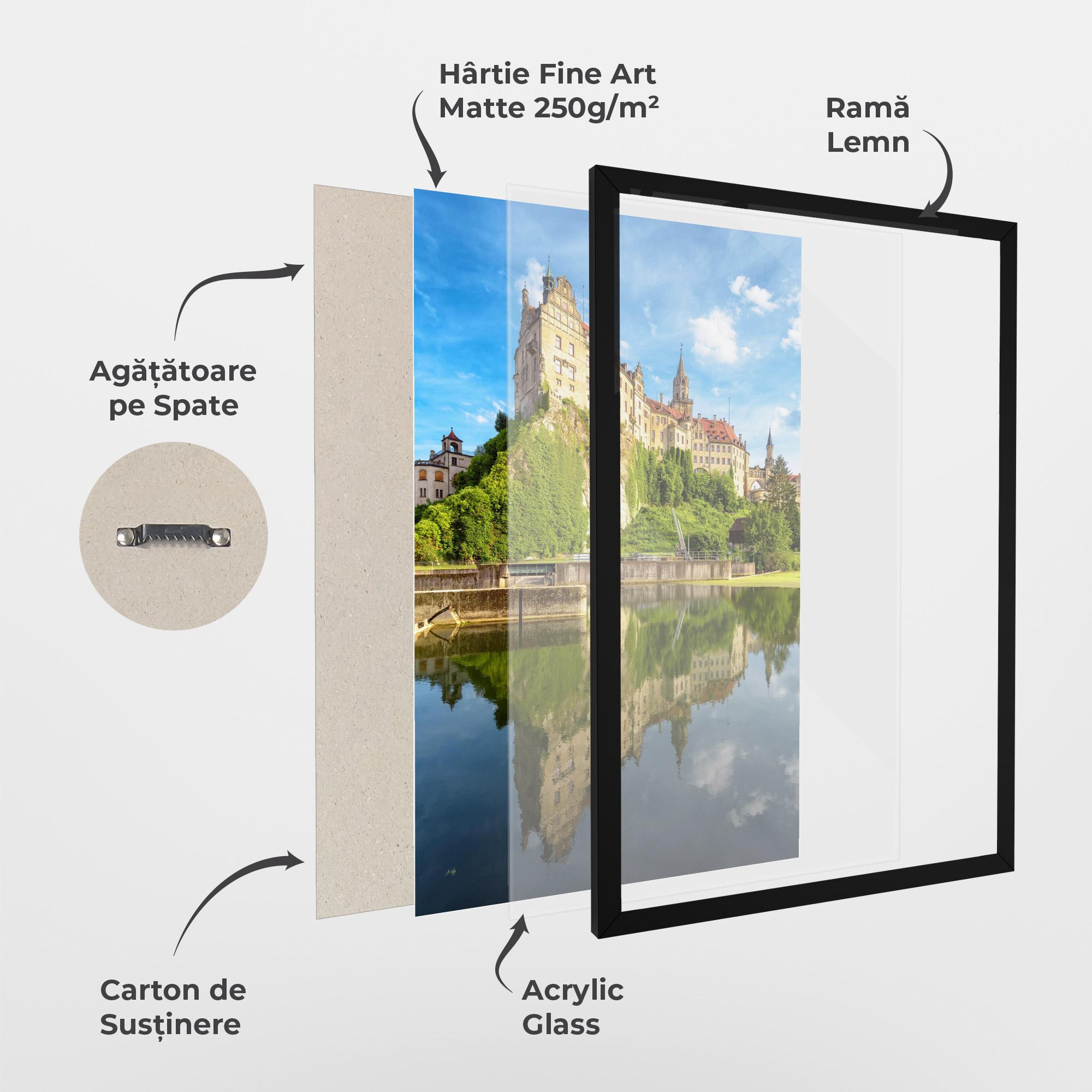 Poster Înrămat Sigmaringen Castle Germany mockup 1