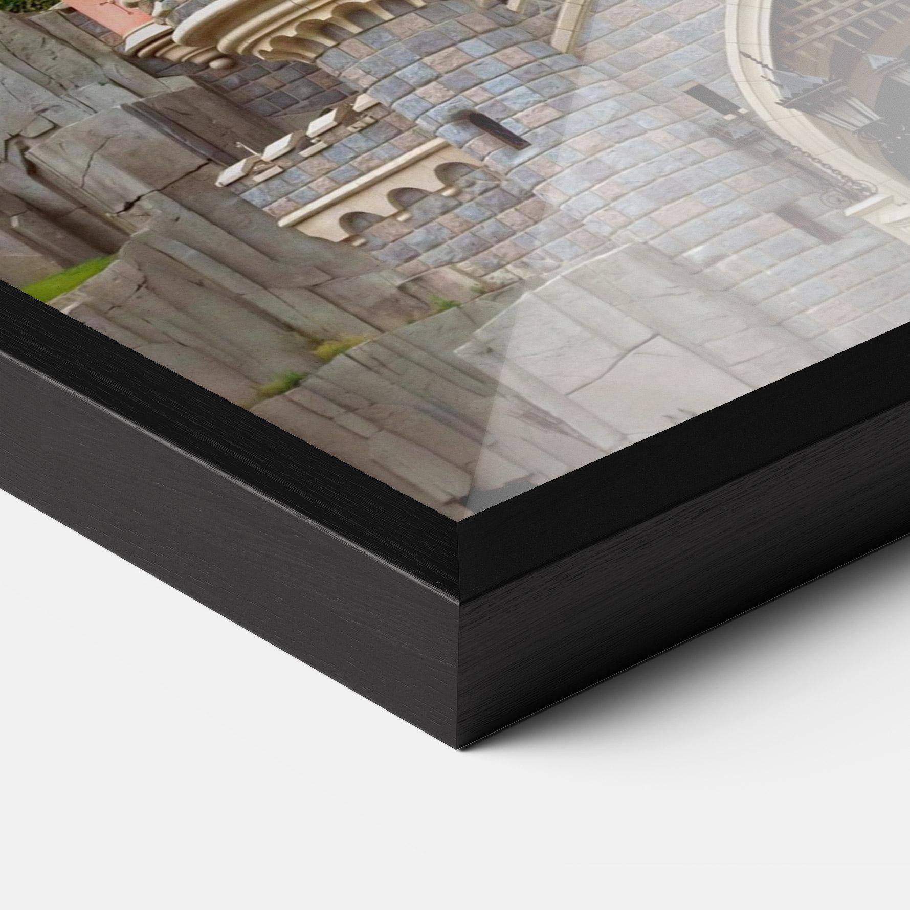 Poster Înrămat Disneyland Castle mockup 3