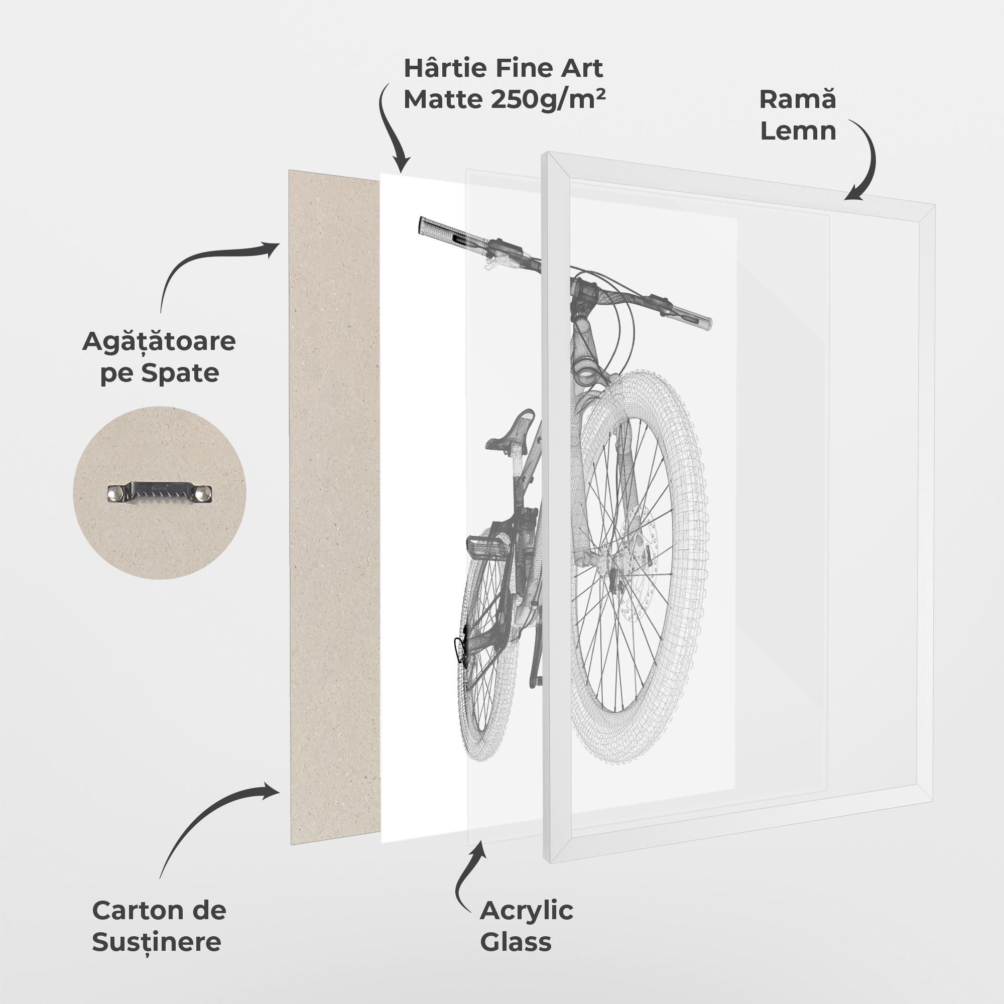 Poster Înrămat Mountain Bicycle 3d Model mockup 1