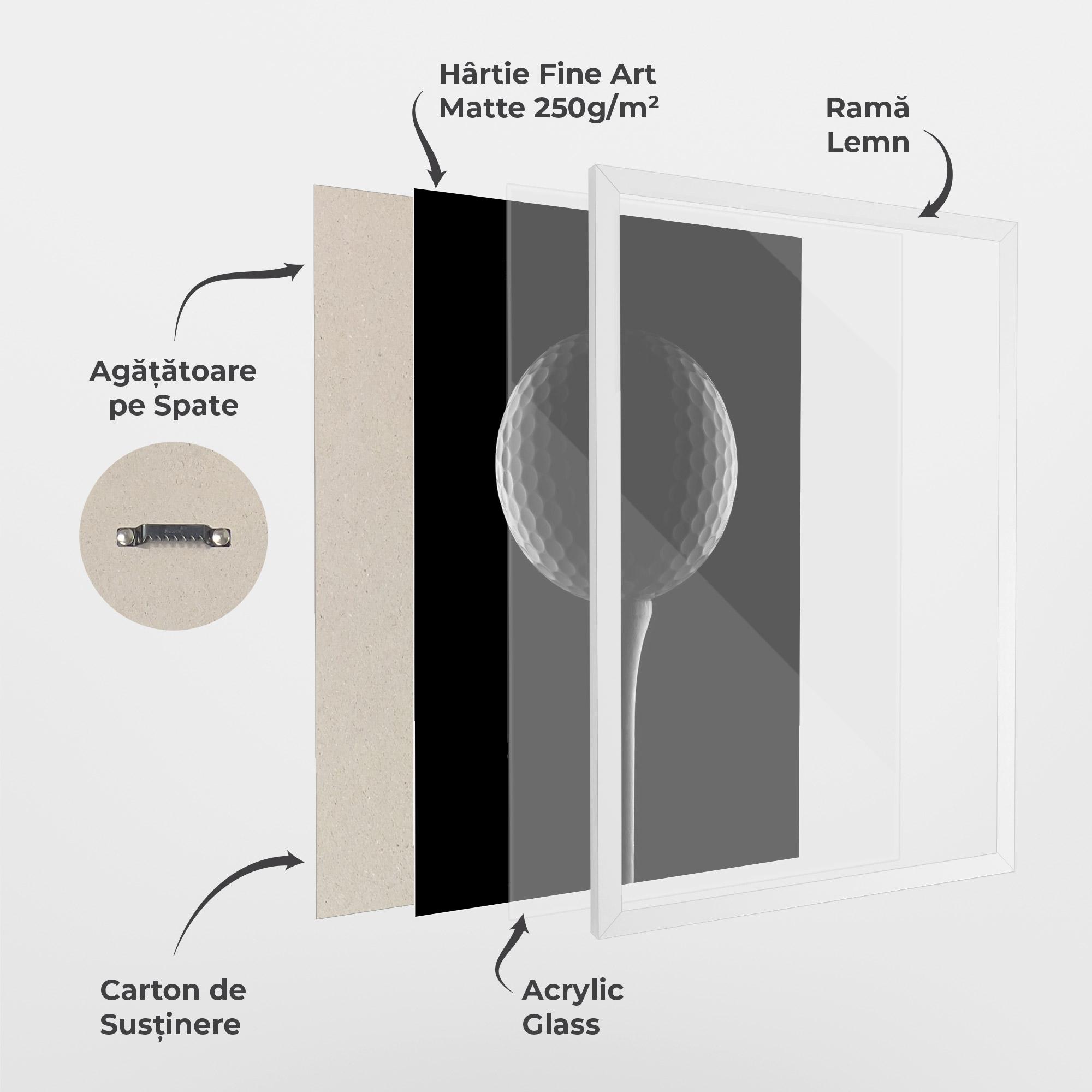Poster Înrămat Golf Ball Black mockup 1