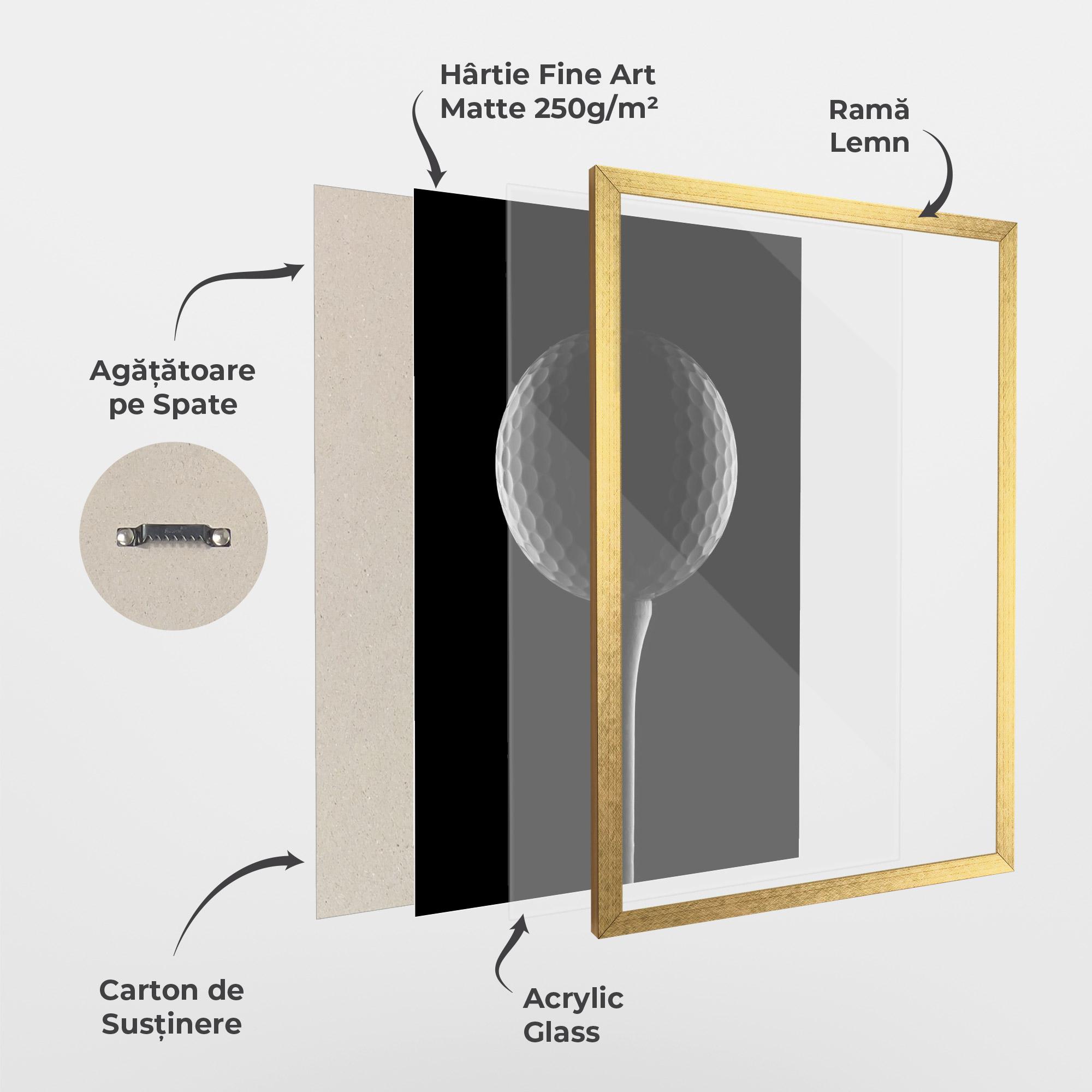 Poster Înrămat Golf Ball Black mockup 1