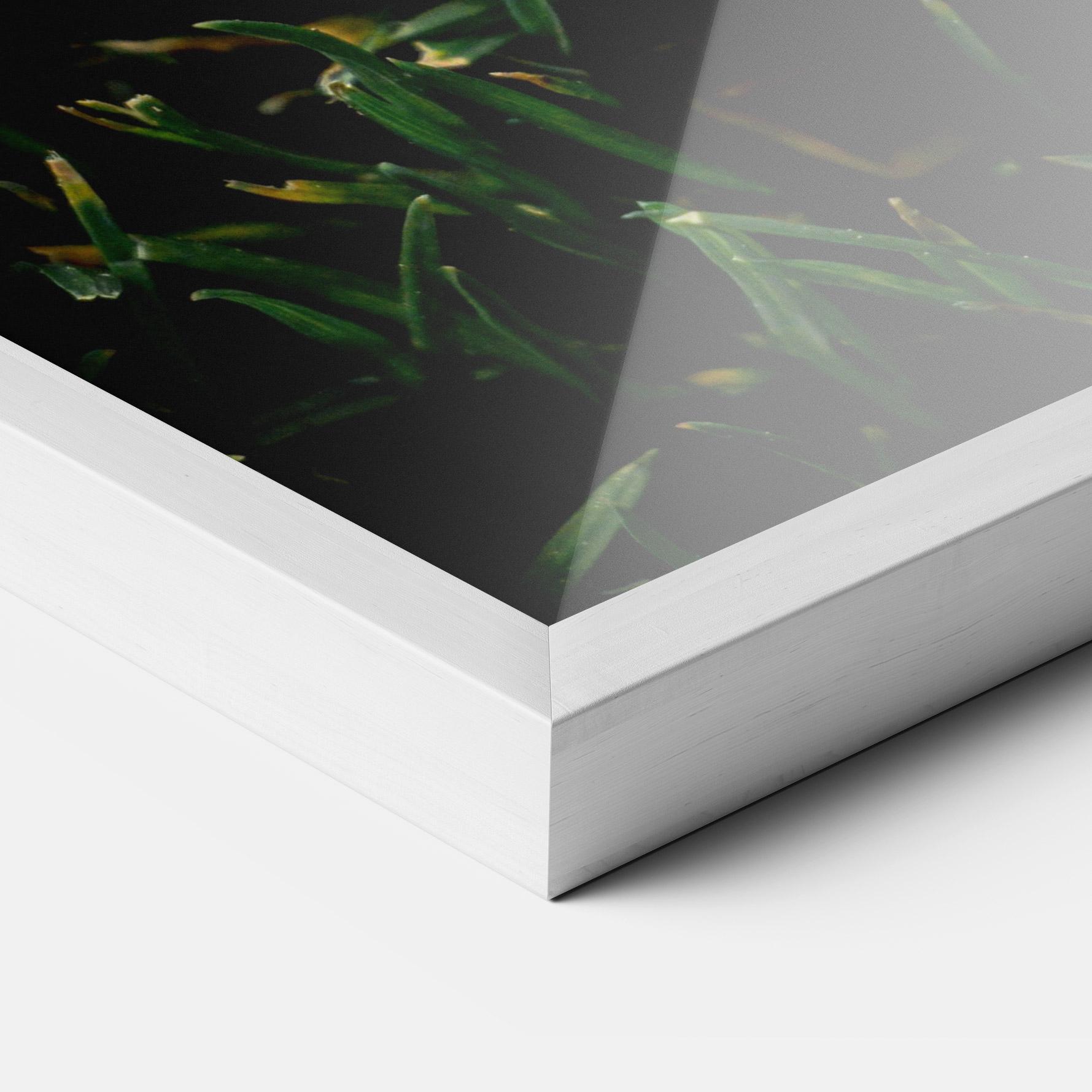 Poster Înrămat Sugar Golf mockup 3