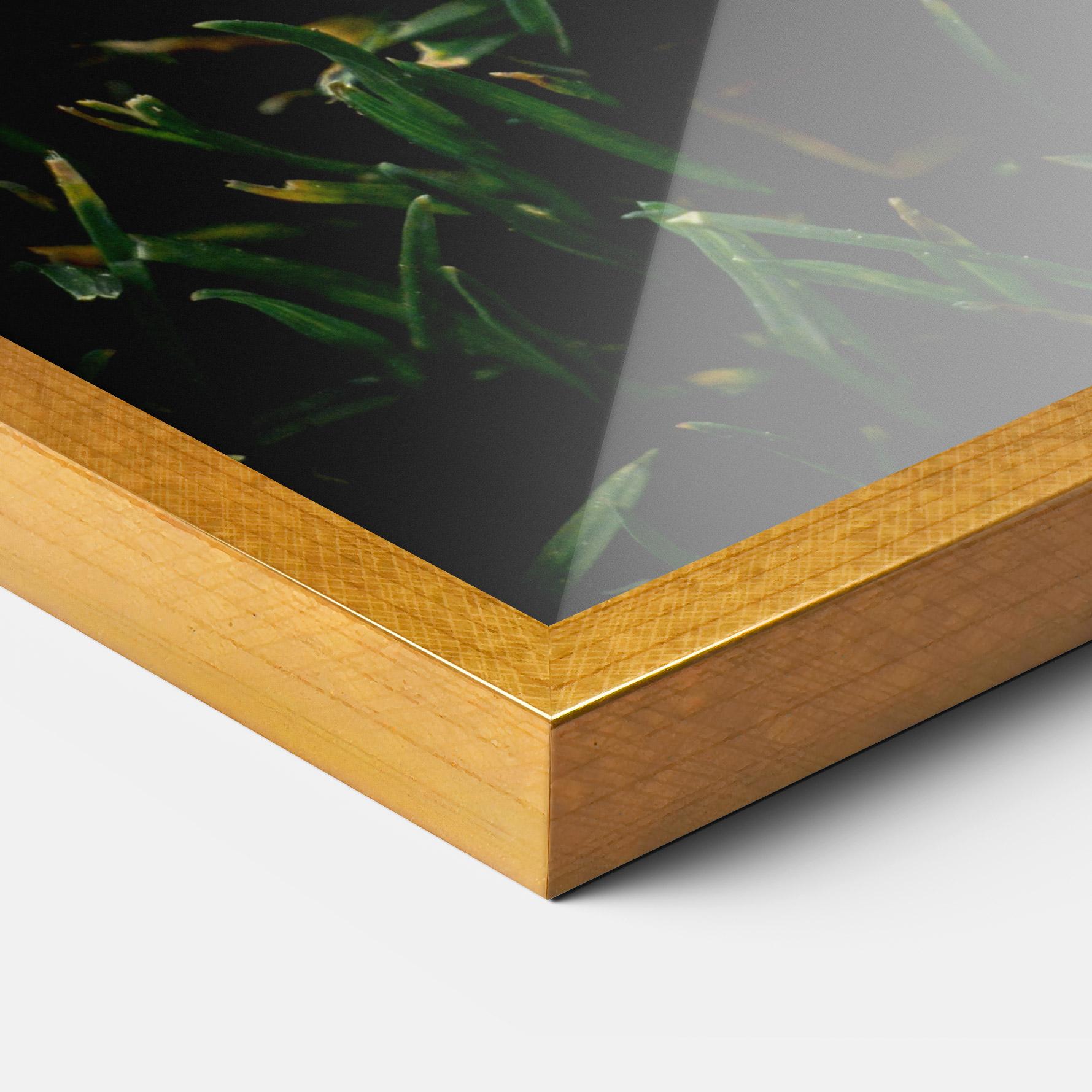 Poster Înrămat Sugar Golf mockup 3