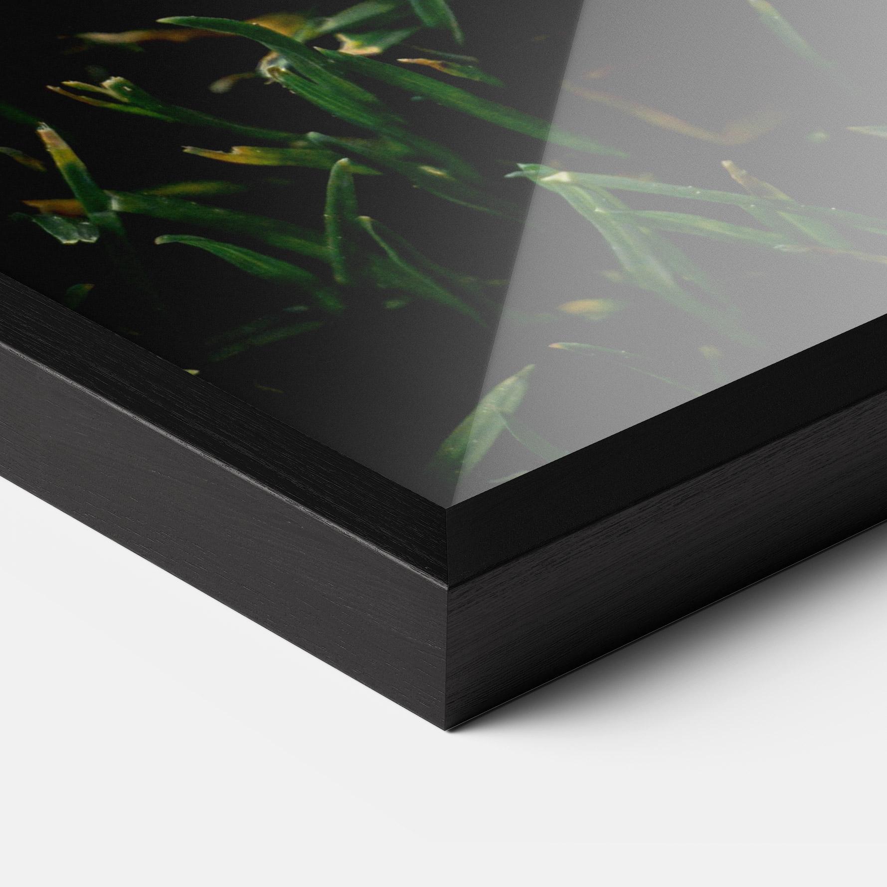 Poster Înrămat Sugar Golf mockup 3