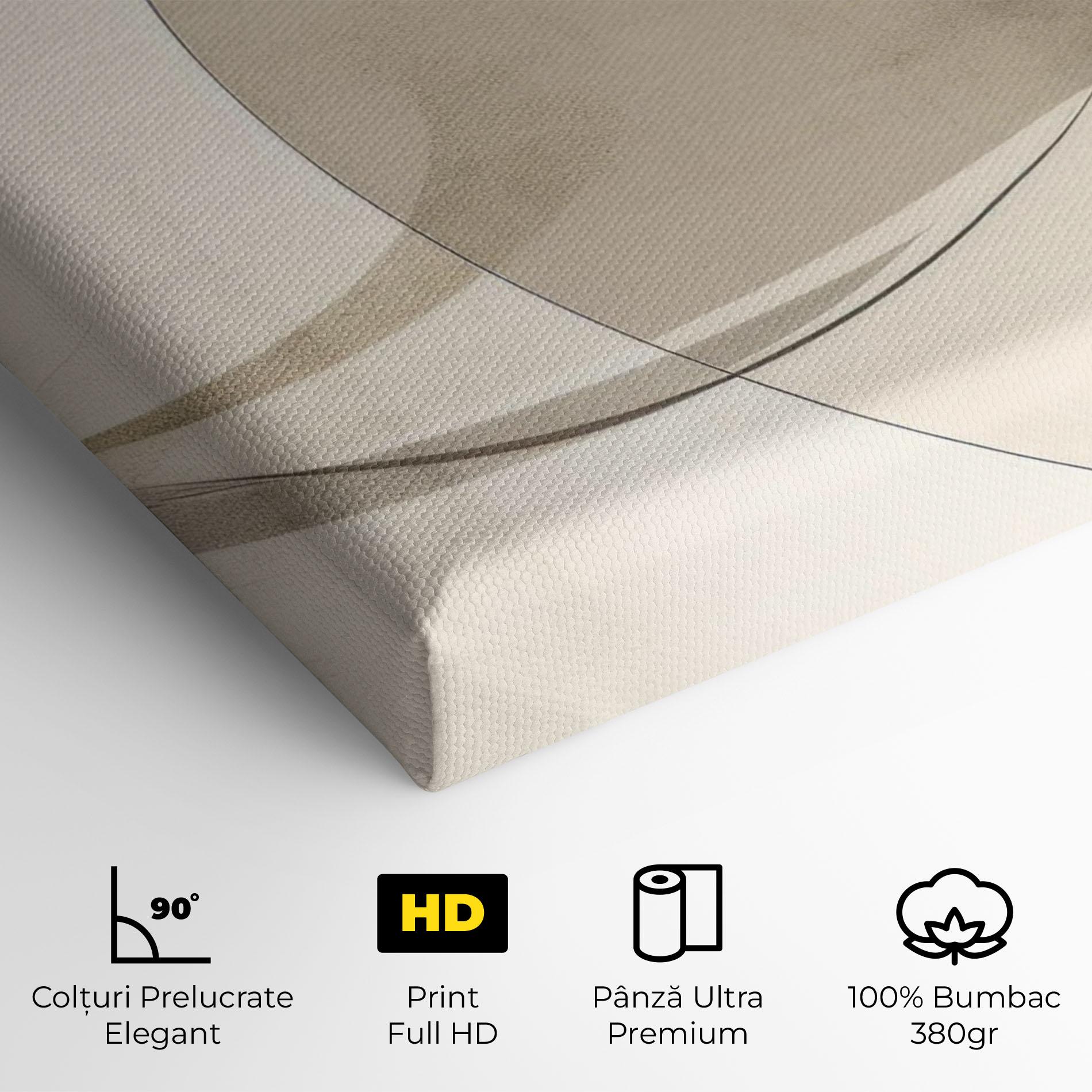 Tablou Canvas Abstract Circle Painting mockup 4