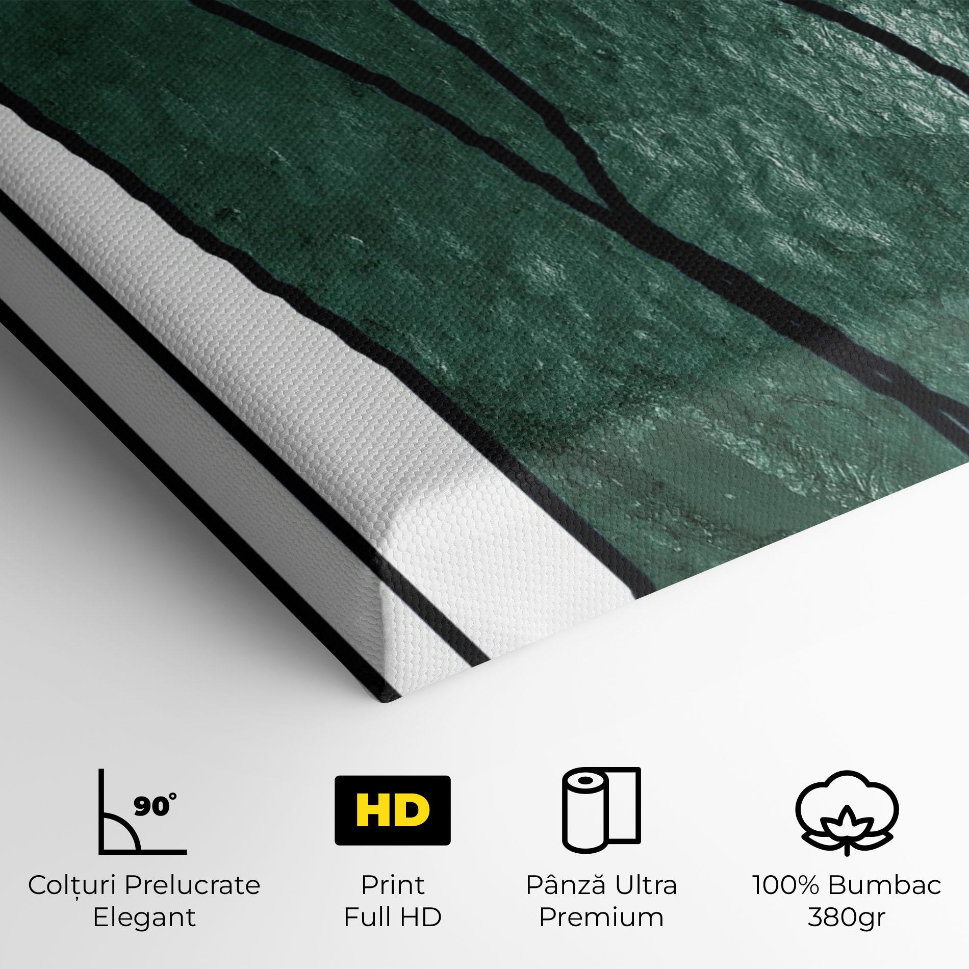 Tablou Canvas Abstract Green Face mockup 4