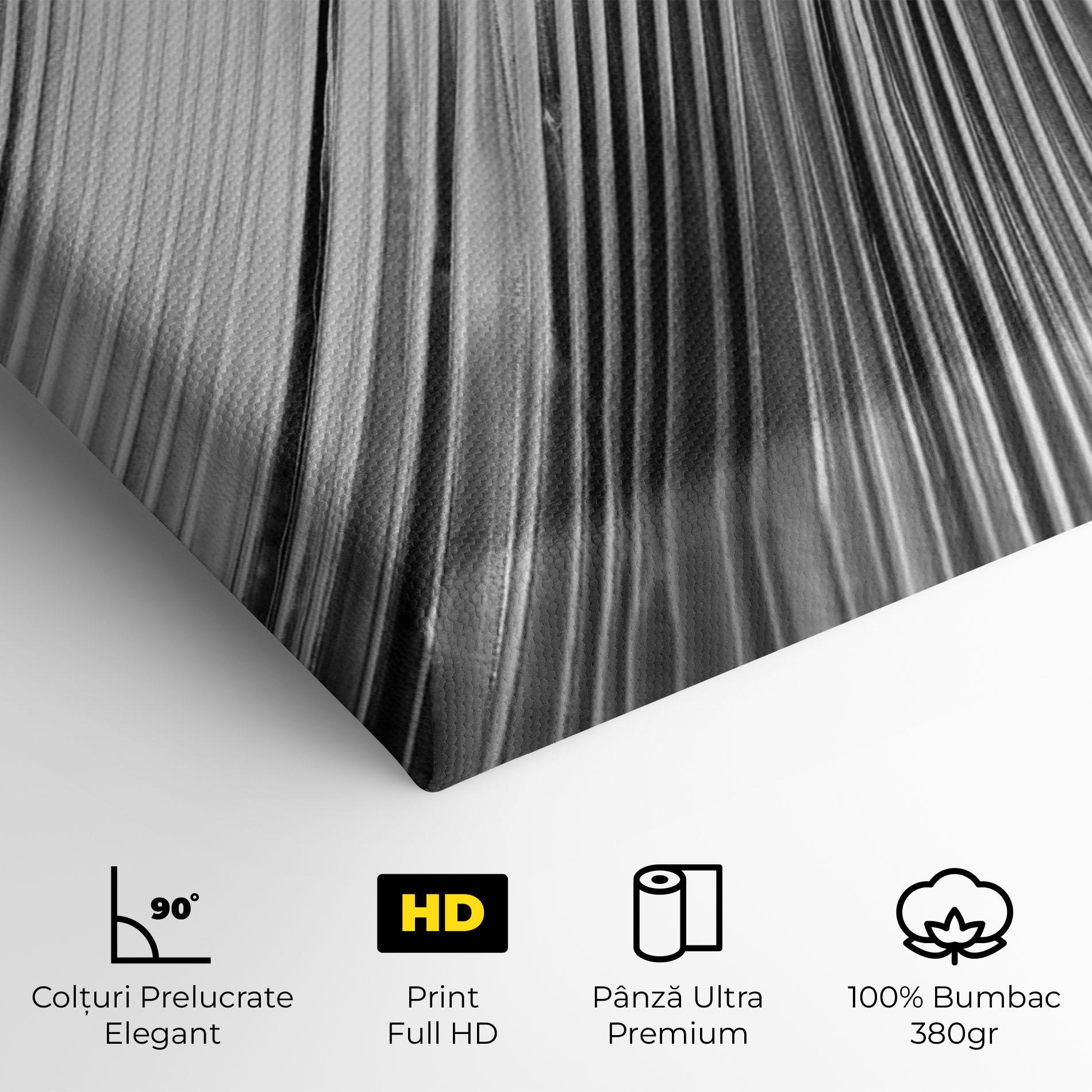 Tablou Canvas Monochrome Wave mockup 4