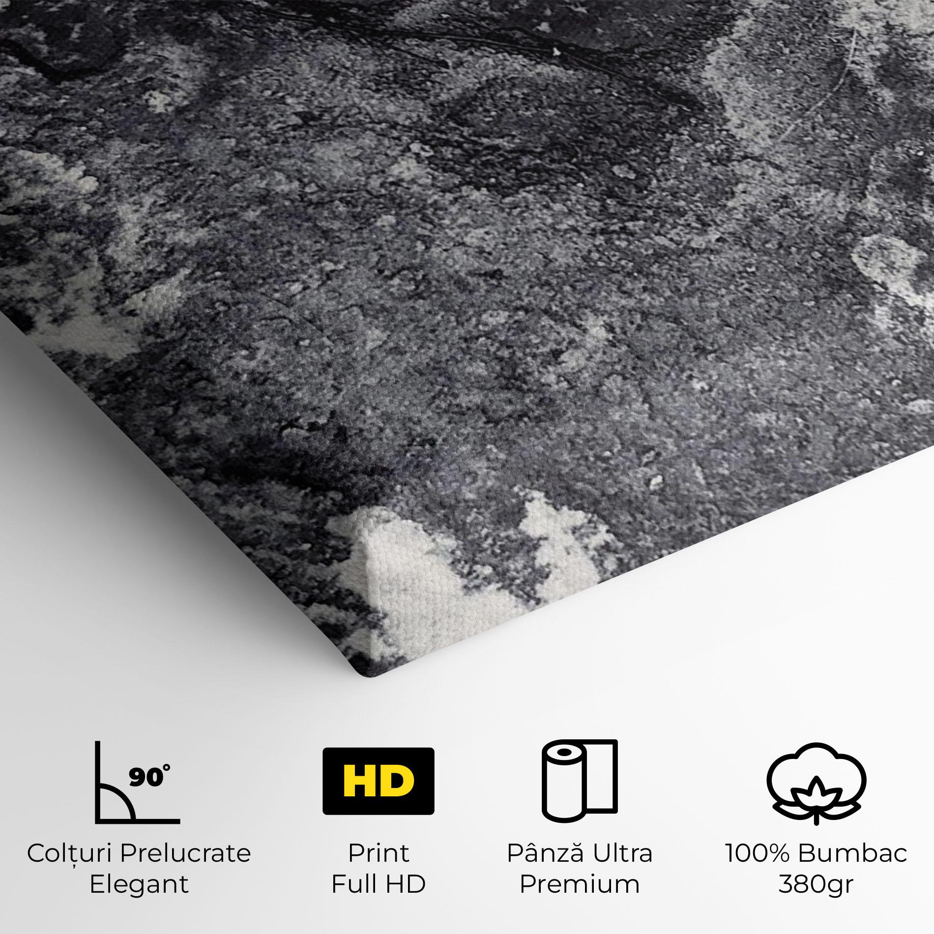 Tablou Canvas Black And White Abstract mockup 4