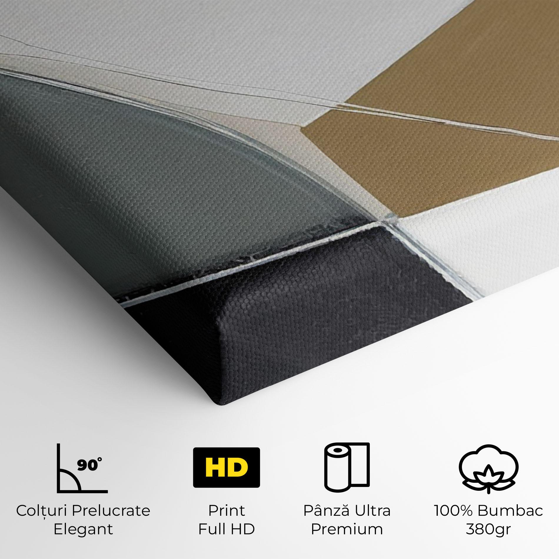 Tablou Canvas Black Grey Shape mockup 4