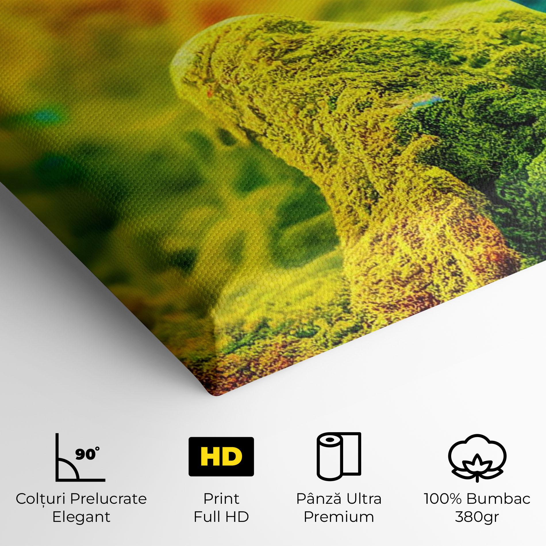 Tablou Canvas Color Powder Explosion mockup 4